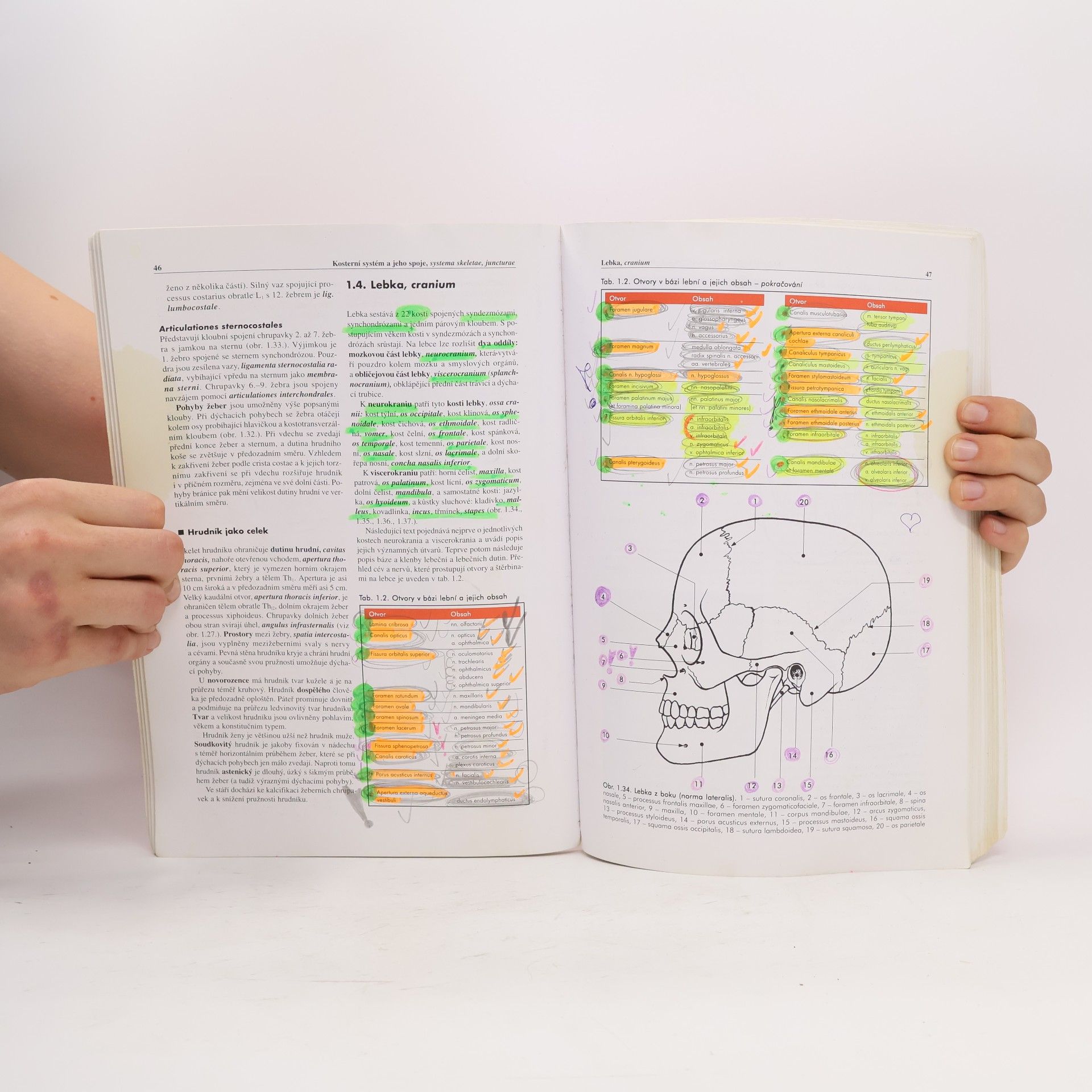 Miloš Grim Základy anatomie 1. Obecná anatomie a pohybový systém