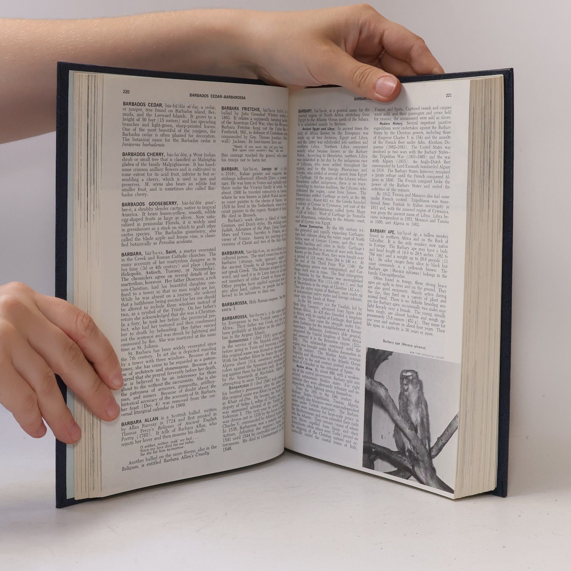 Kolektiv autorů Encyclopedia Americana 3