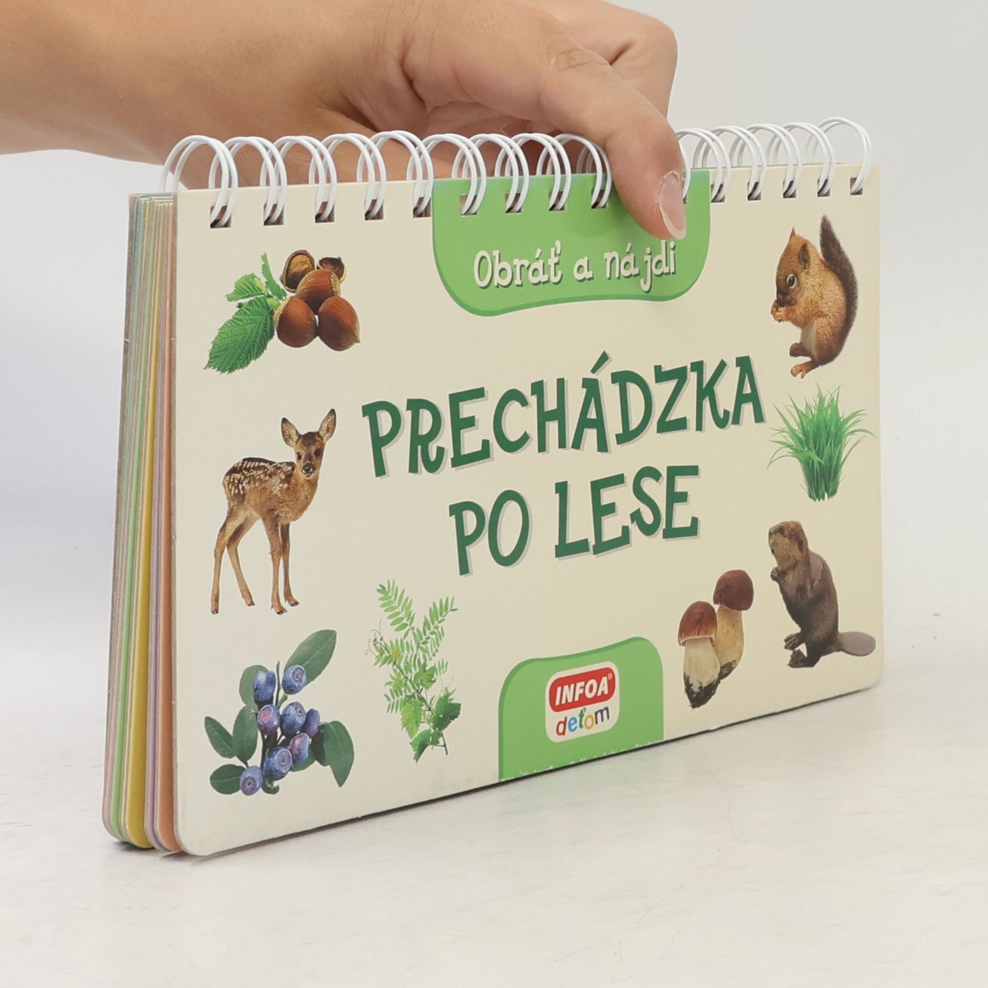 Kolektiv autorů Prechádzka po lese