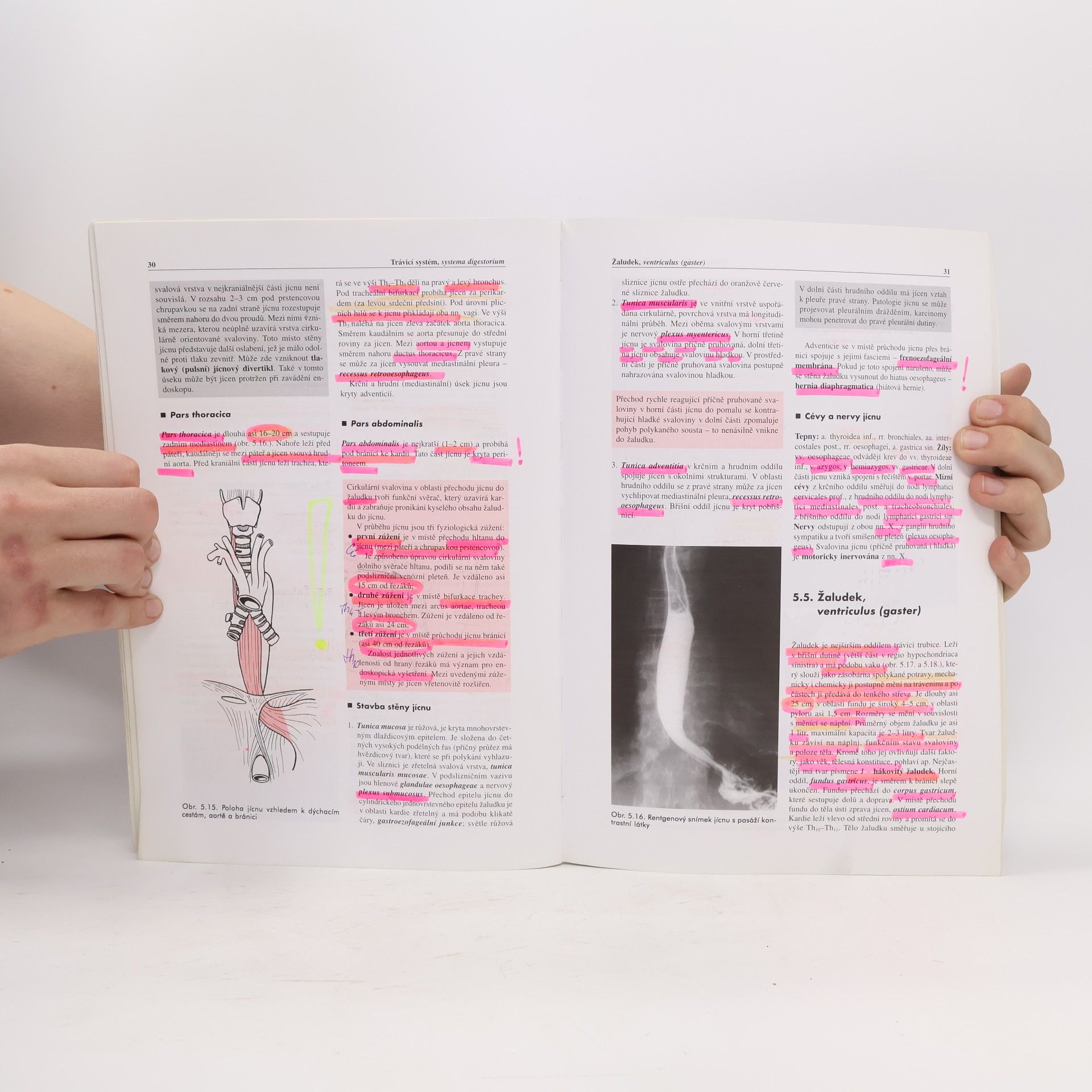 Miloš Grim Základy anatomie 3. Trávicí, dýchací, močopohlavní a endokrinní systém