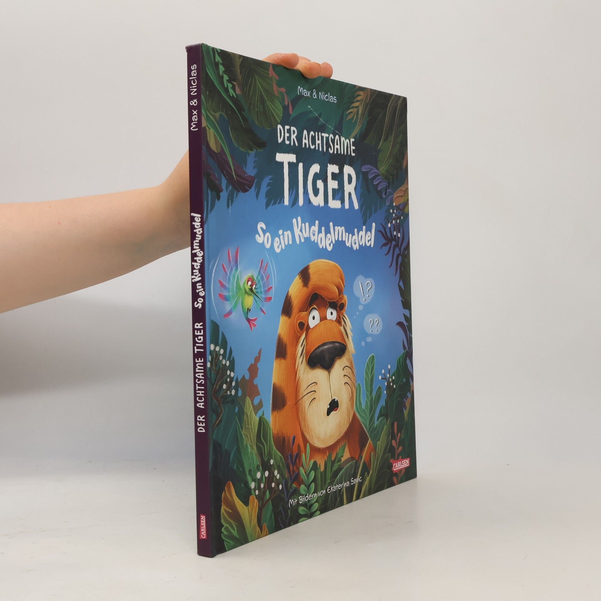 Ekaterina Savic Der achtsame Tiger 2: So ein Kuddelmuddel