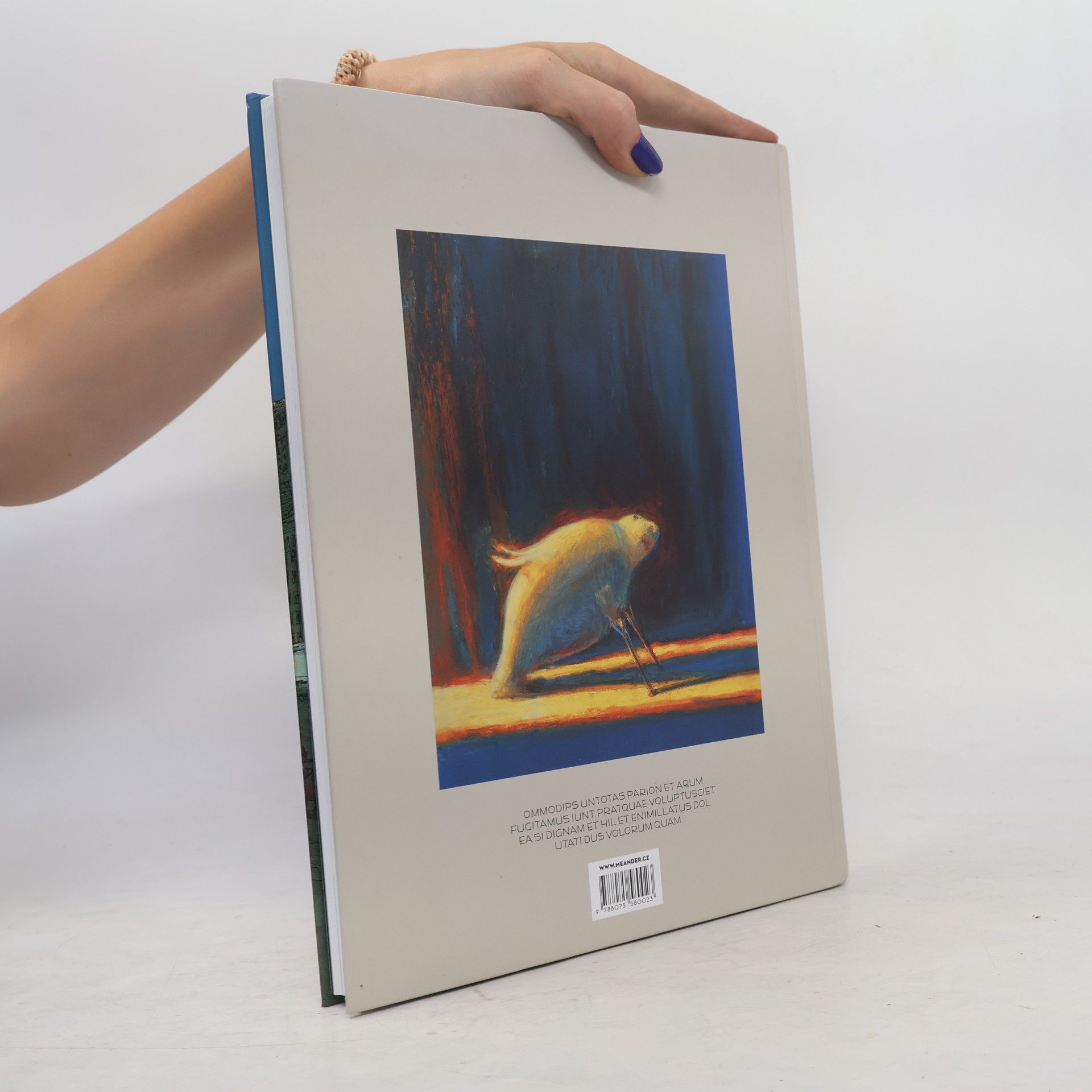 Nicolas De Grécy Nebeský bibendum