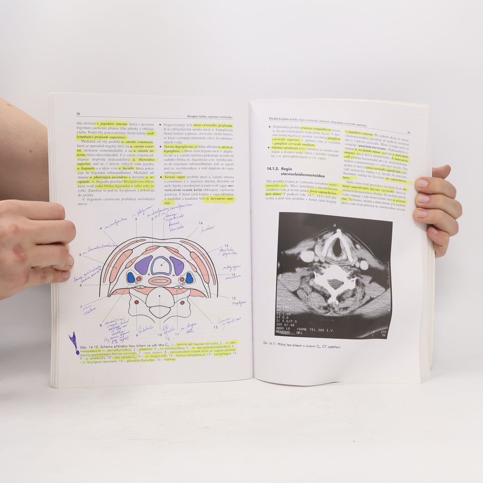 Miloš Grim Základy anatomie. 5., Anatomie krajin těla