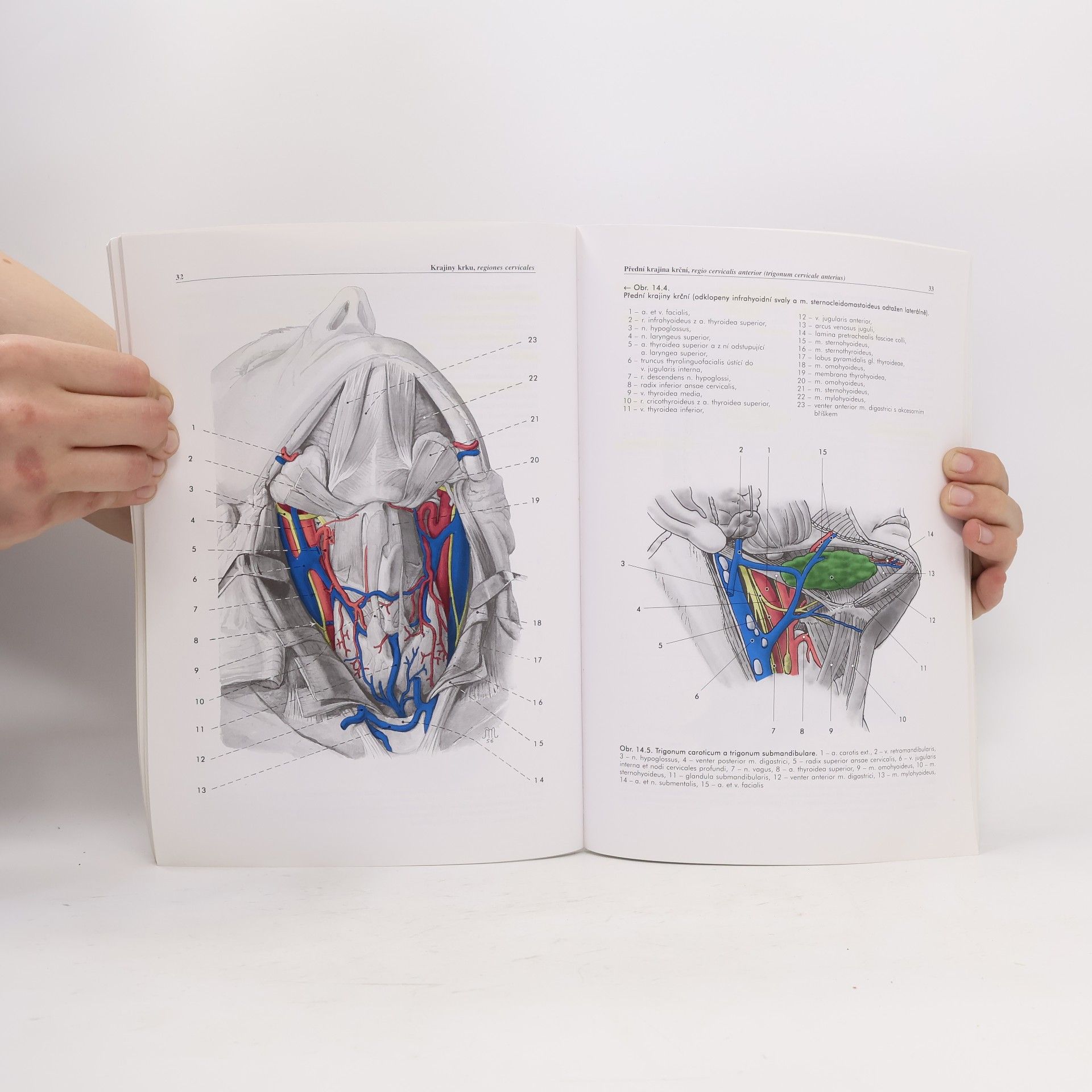 Miloš Grim Základy anatomie. 5., Anatomie krajin těla