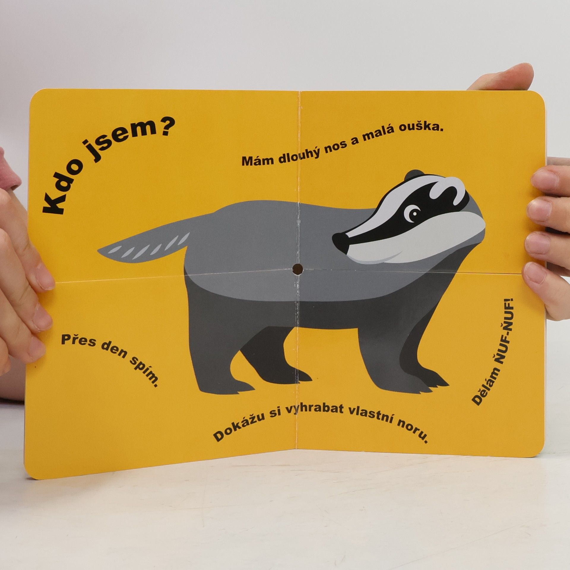 Kolektiv autorů Kdo jsem? - V lese