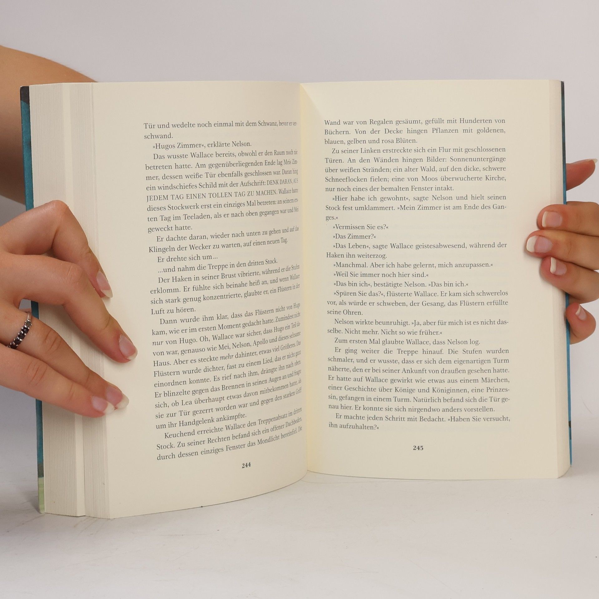 T.J. Klune Das unglaubliche Leben des Wallace Price