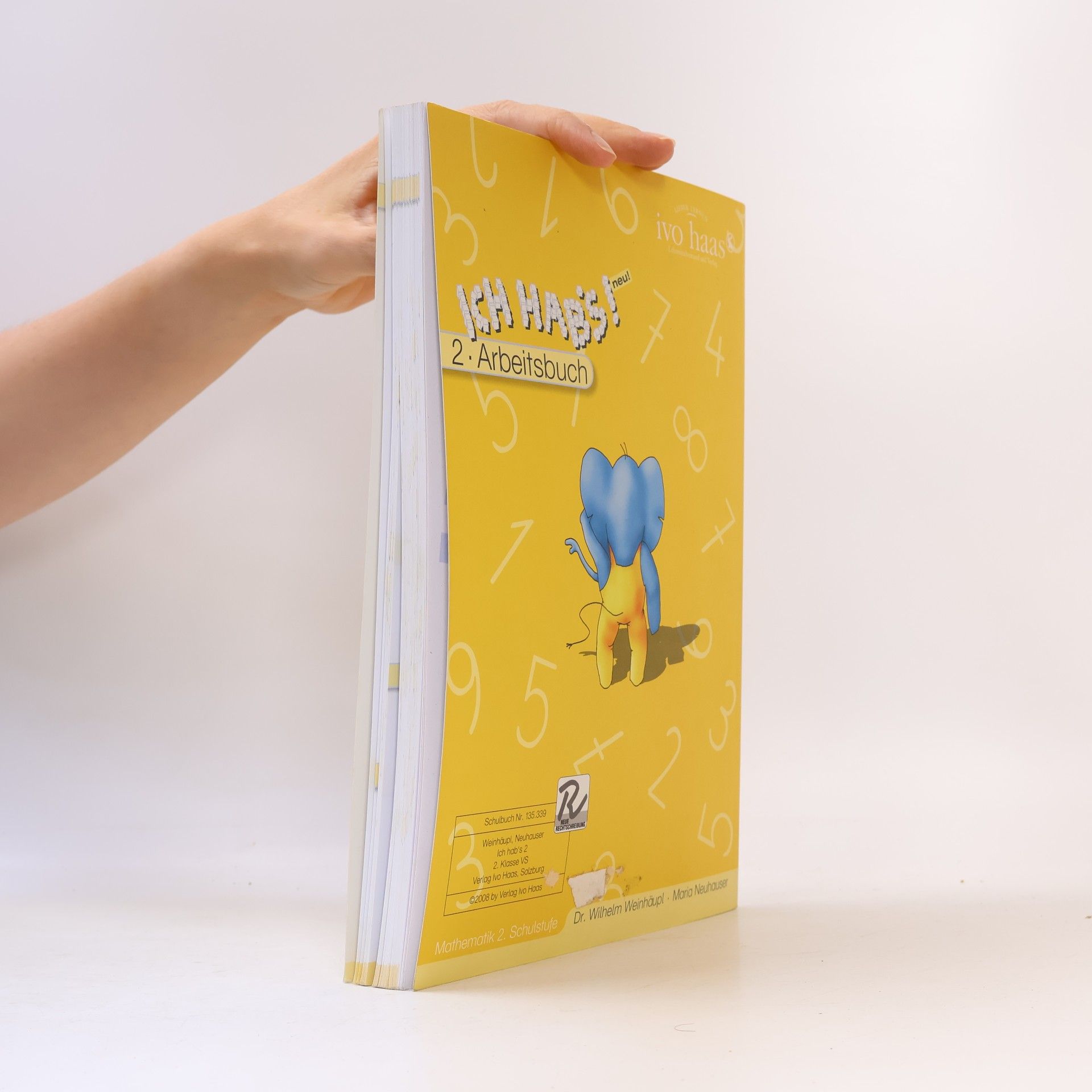 Ivo Haas Ich hab's! 2. Arbeitsbuch