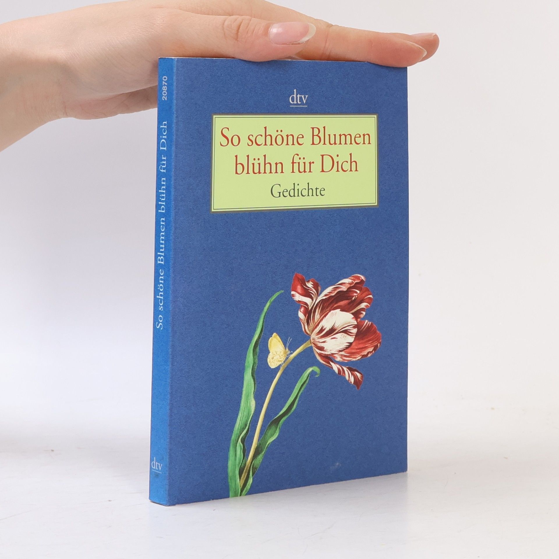 Gudrun Bull So schöne Blumen blühn für Dich