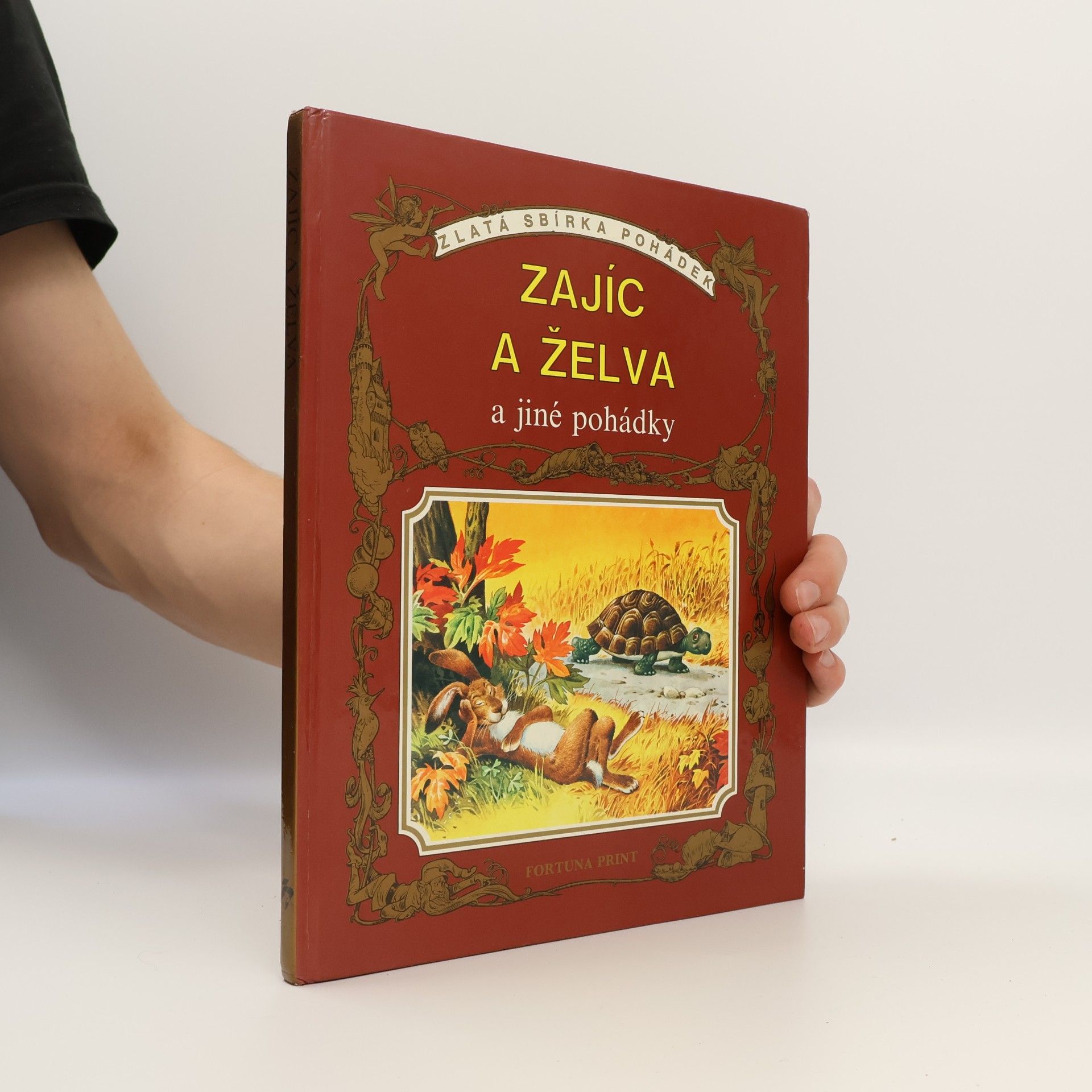 Kolektiv autorů Zajíc a želva a jiné pohádky