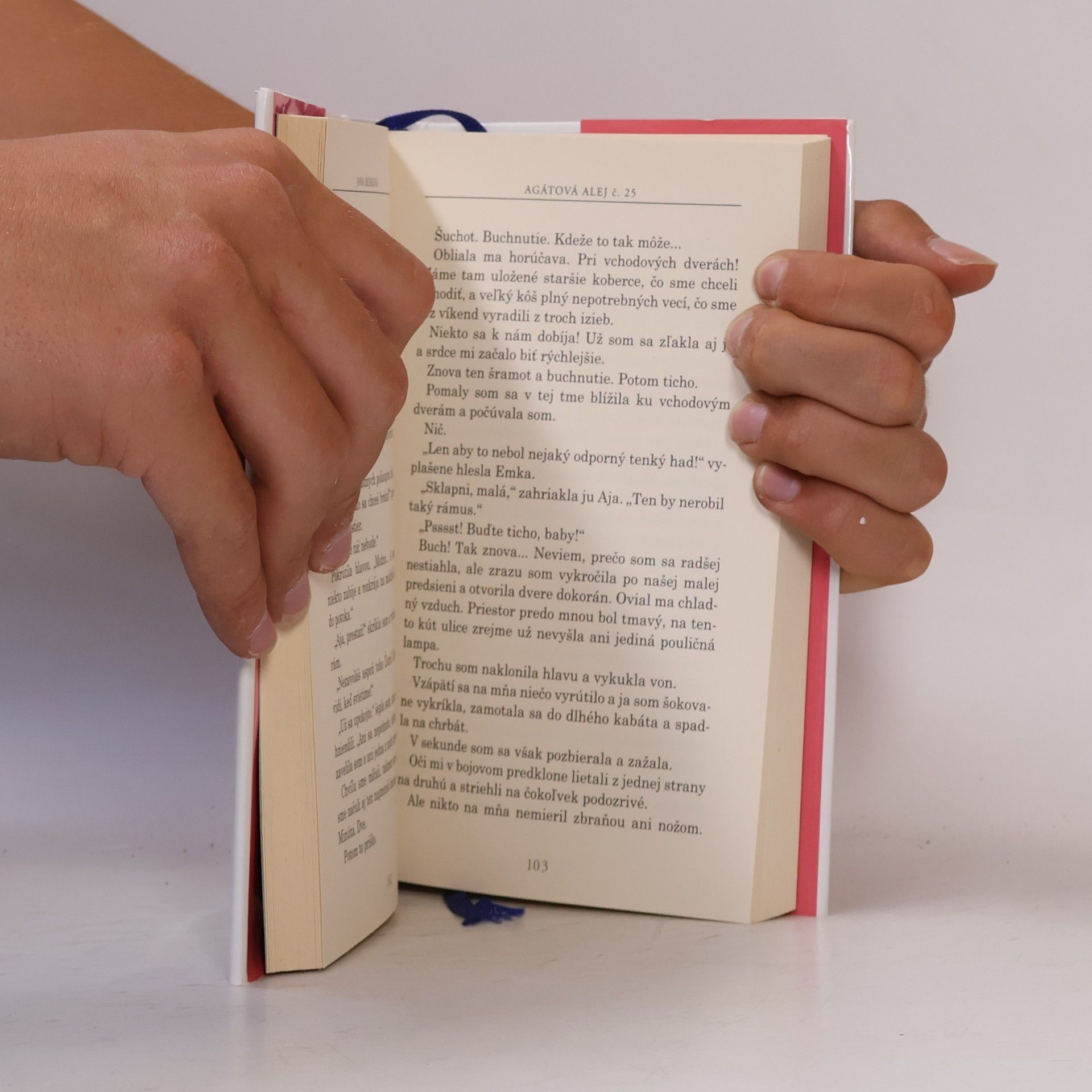 Benková, Jana Agátová alej č. 25