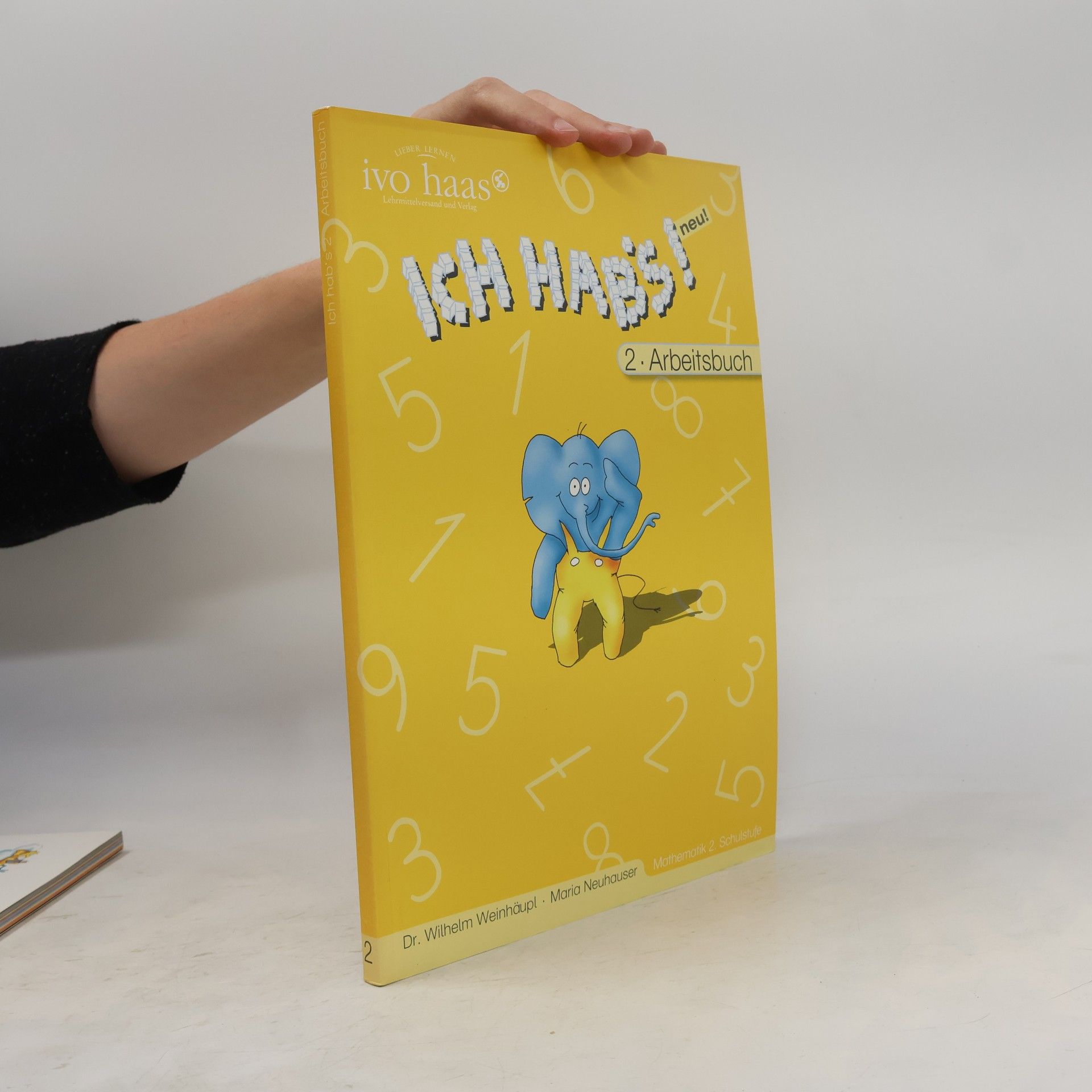 Ivo Haas Ich hab's! 2. Arbeitsbuch