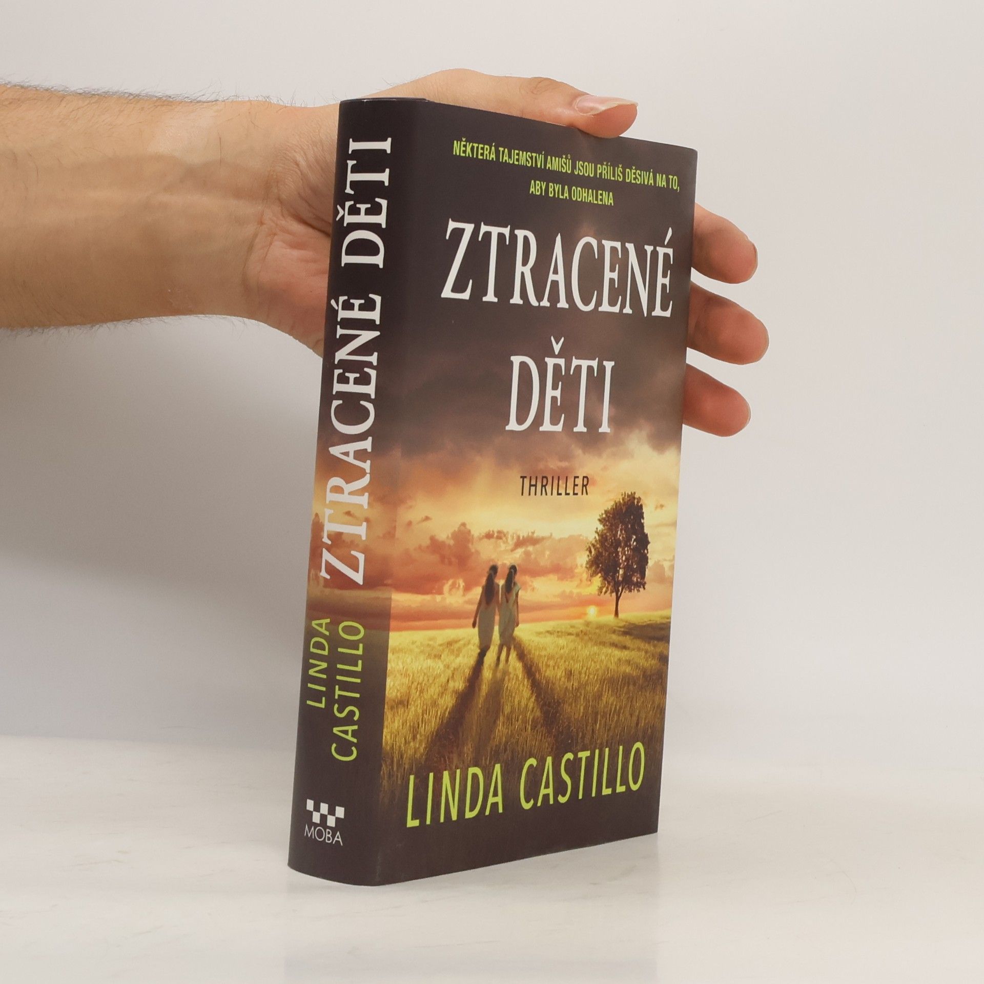Linda Castillo Ztracené děti