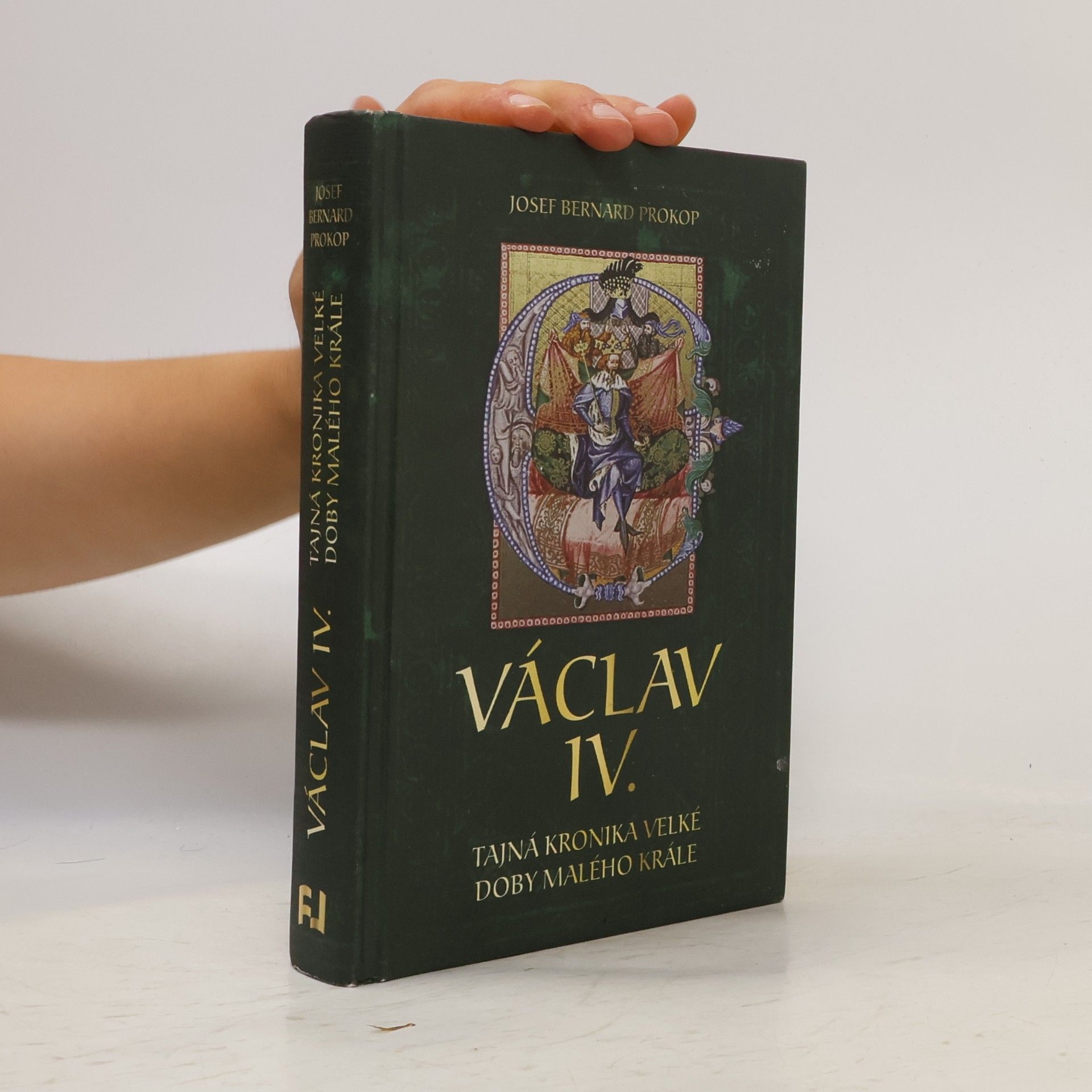 Václav IV. : tajná kronika velké doby malého krále