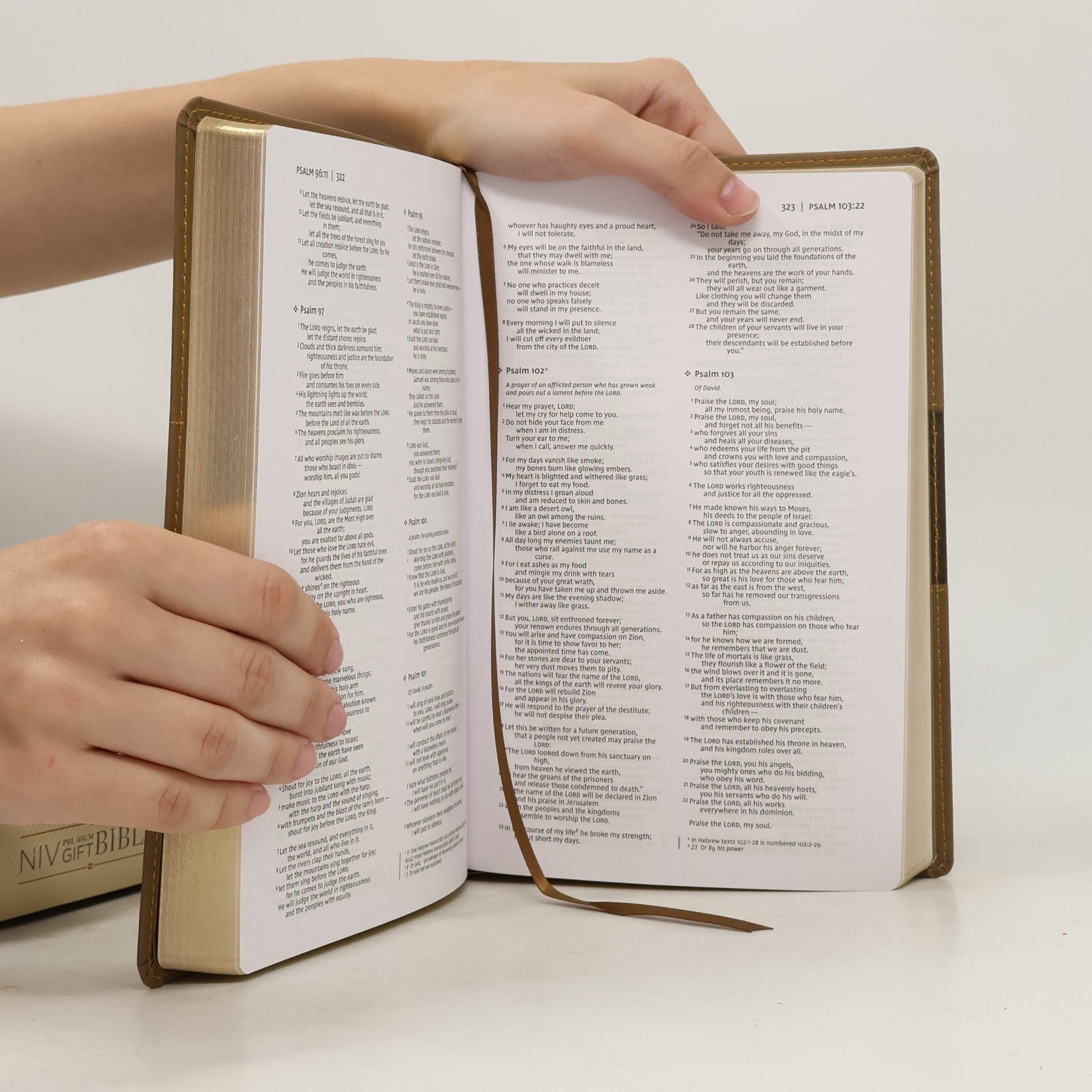NIV, Premium Gift Bible, Leathersoft, Brown, Red Letter Edition, Comfort Print