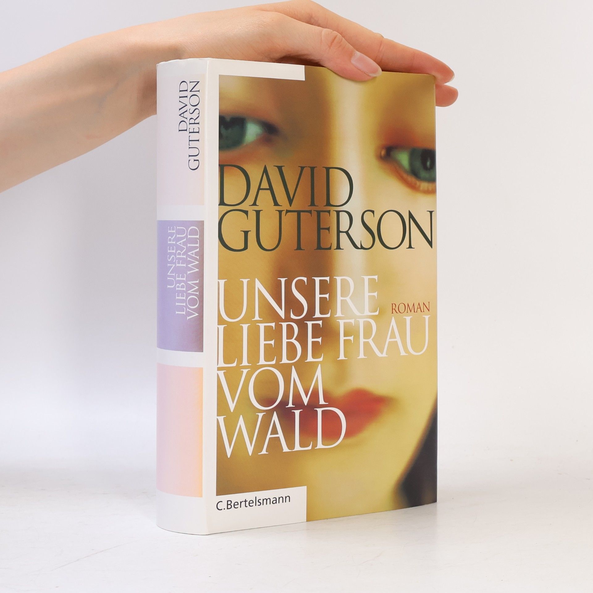 David Guterson Unsere Liebe Frau vom Wald