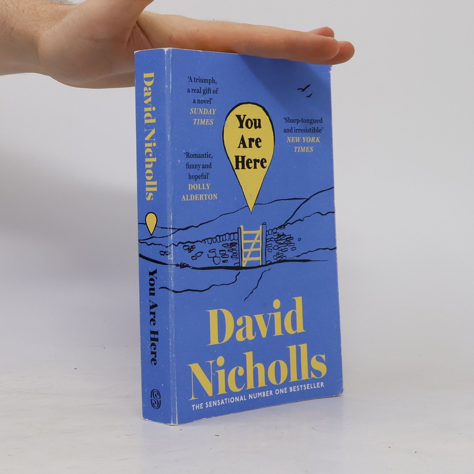 David Nicholls You Are Here
