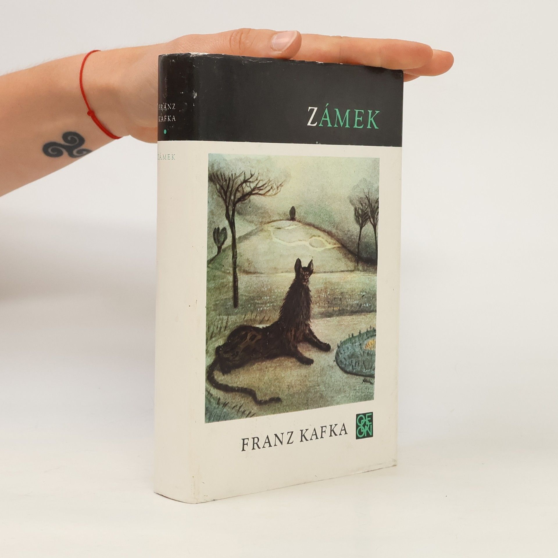 Franz Kafka Zámek