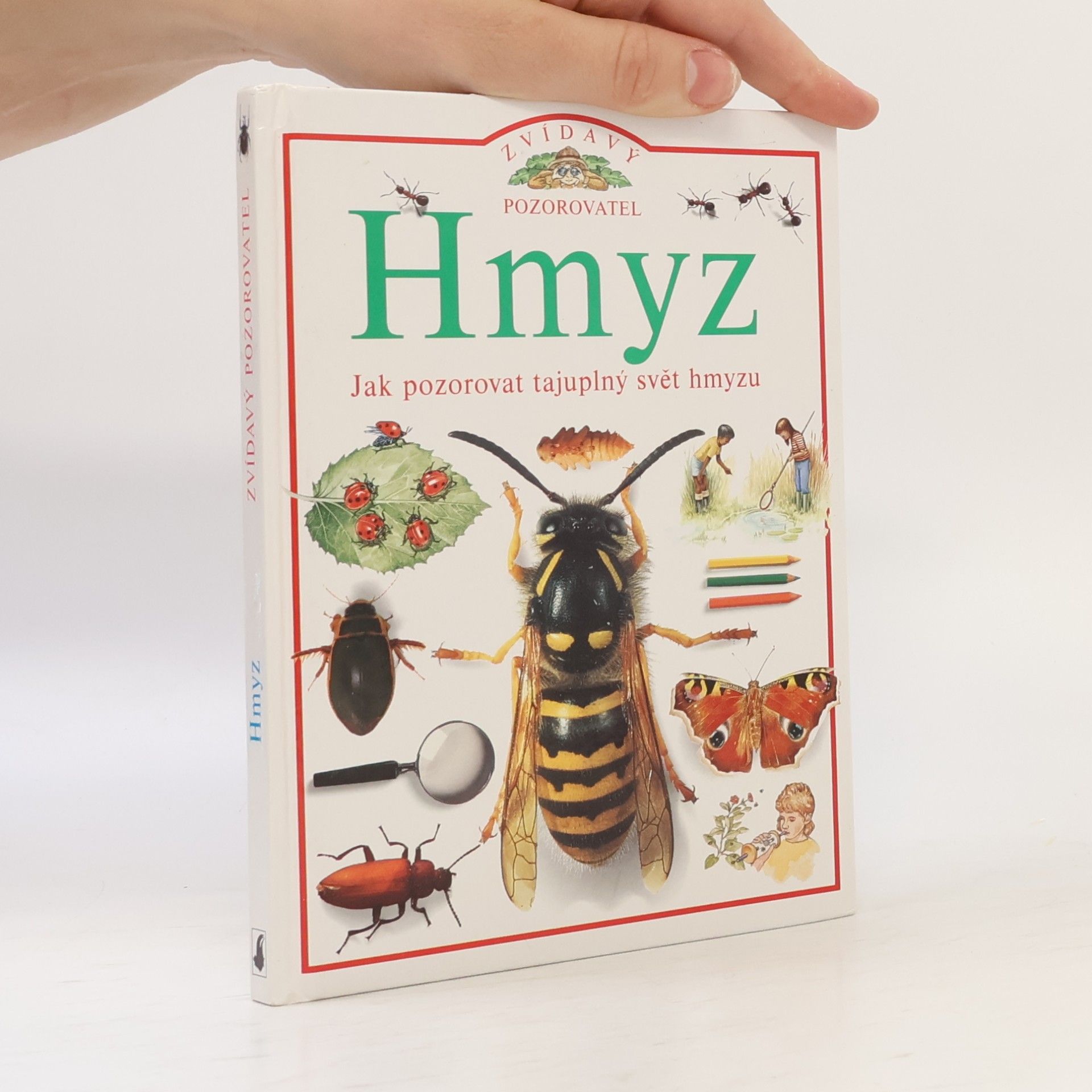 Steve Parker Hmyz, jak pozorovat tajuplný svět hmyzu