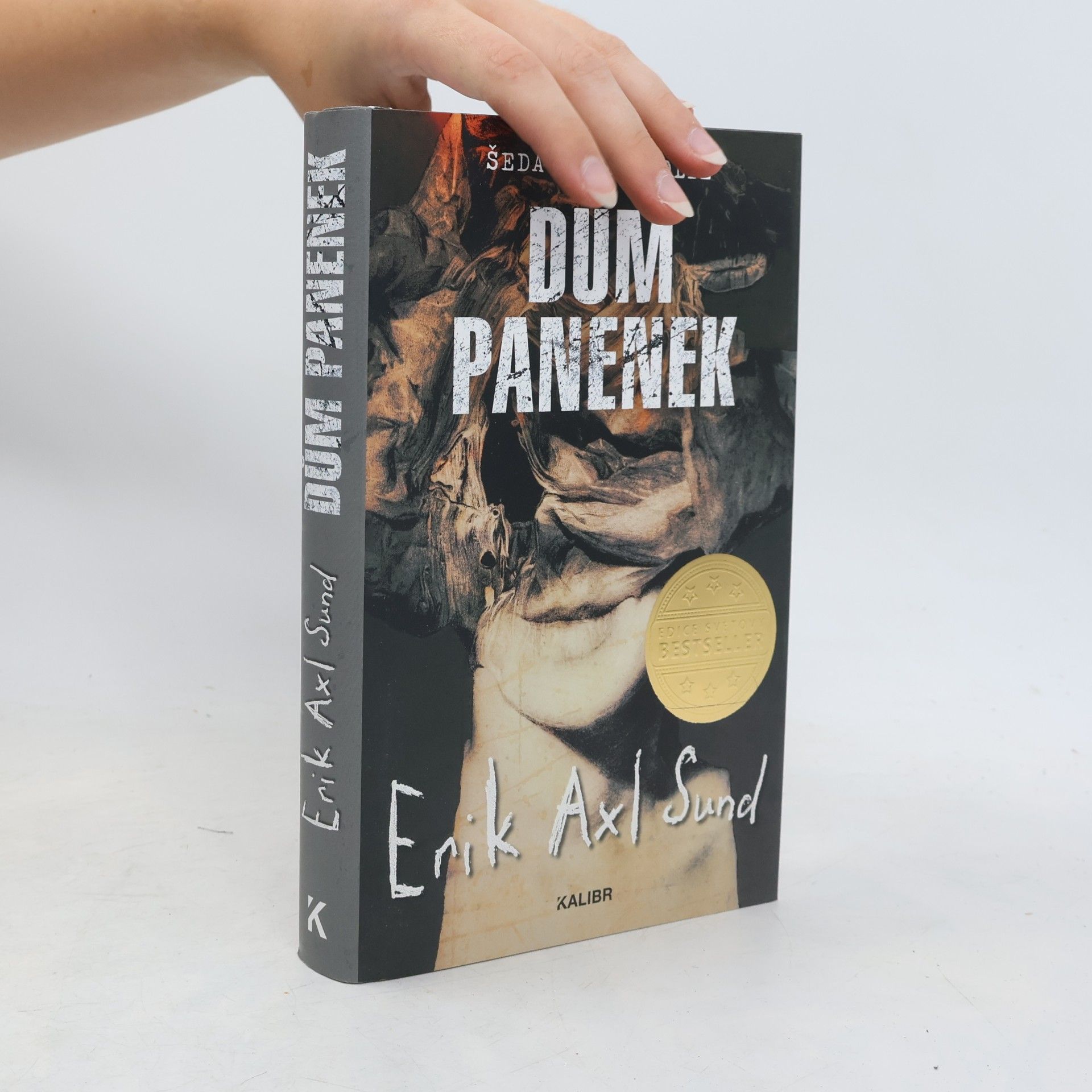 Erik Axl Sund Dům panenek