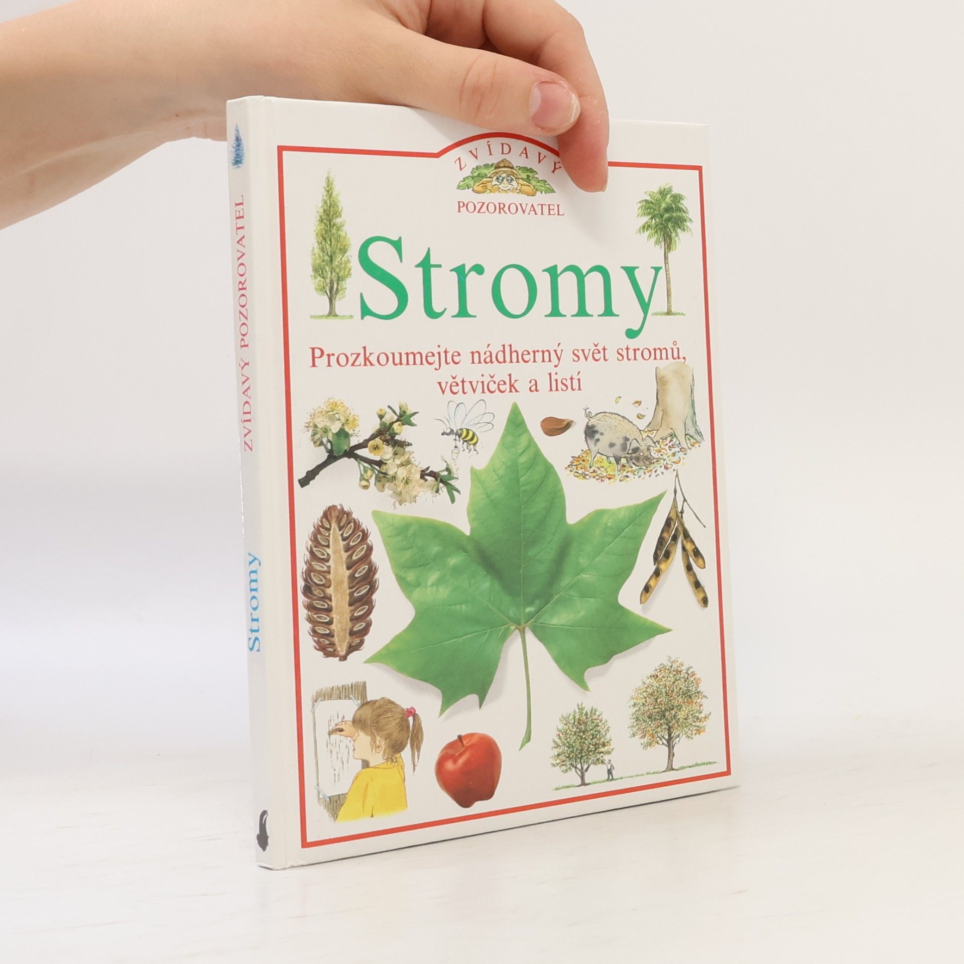 Linda Gamlin Stromy