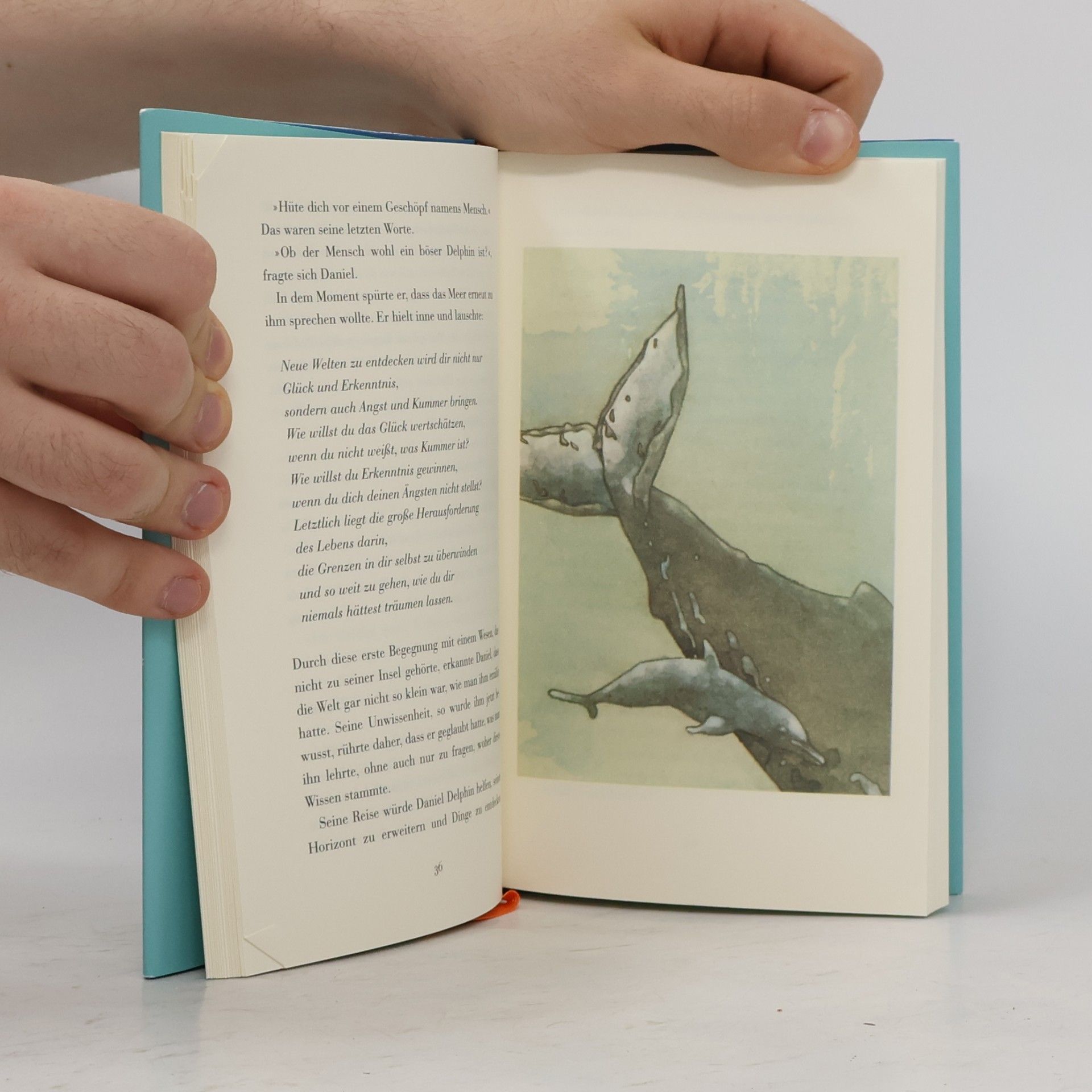 Sergio Bambaren Der träumende Delphin