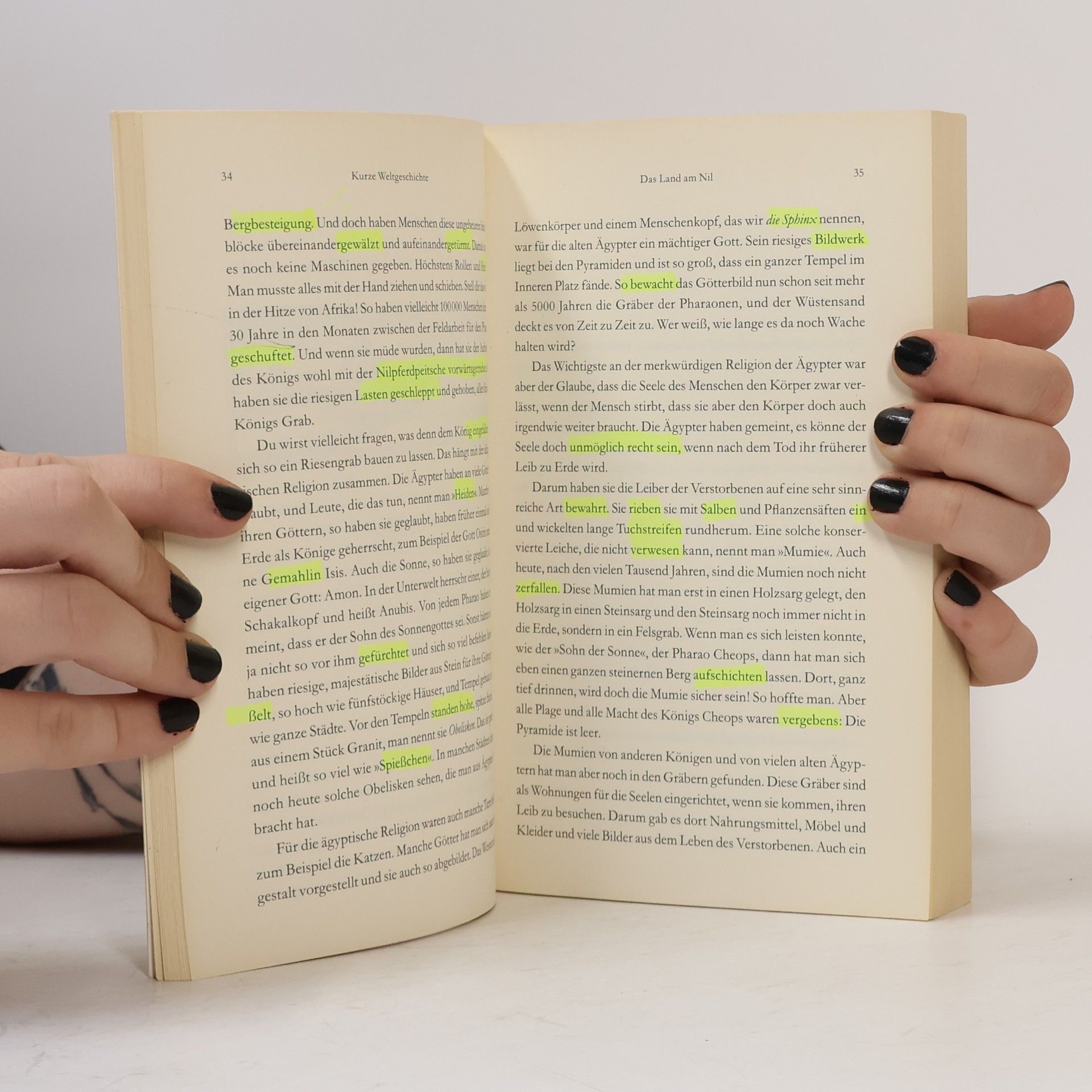 Ernst Hans Gombrich Eine kurze Weltgeschichte für junge Leser