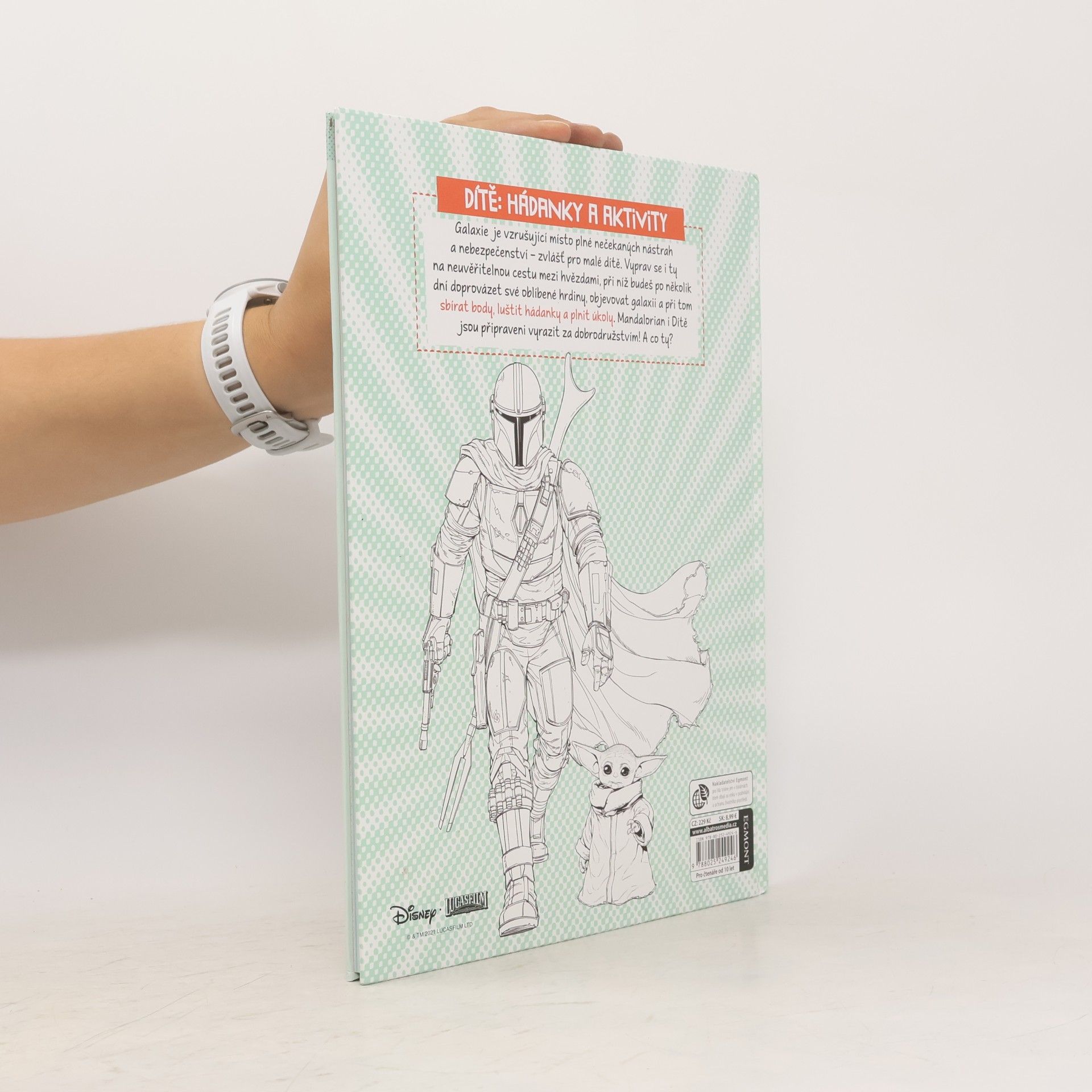 Kolektív autorov Star Wars Mandalorian - Dítě