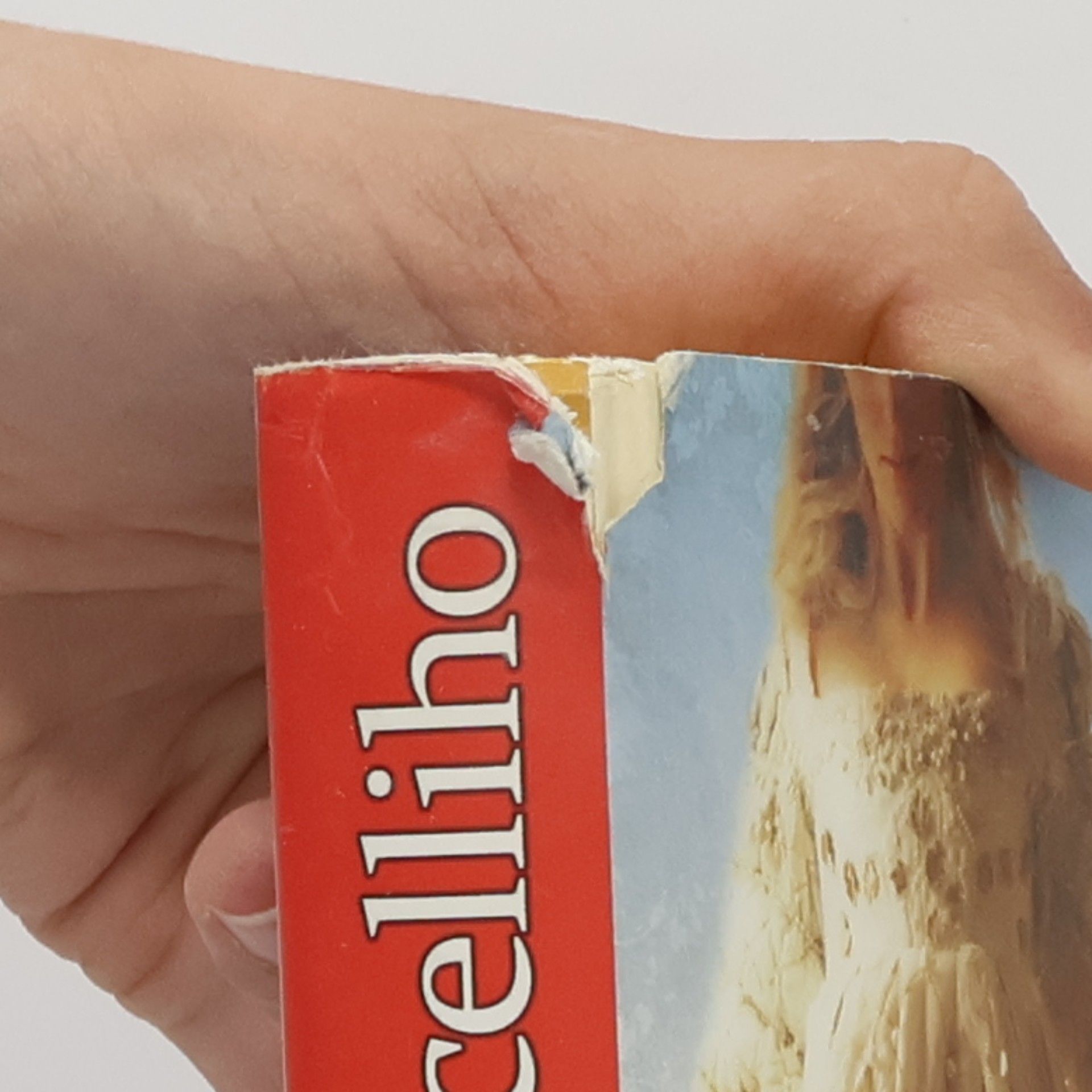 Marina Fiorato Tajemství mistra Botticelliho