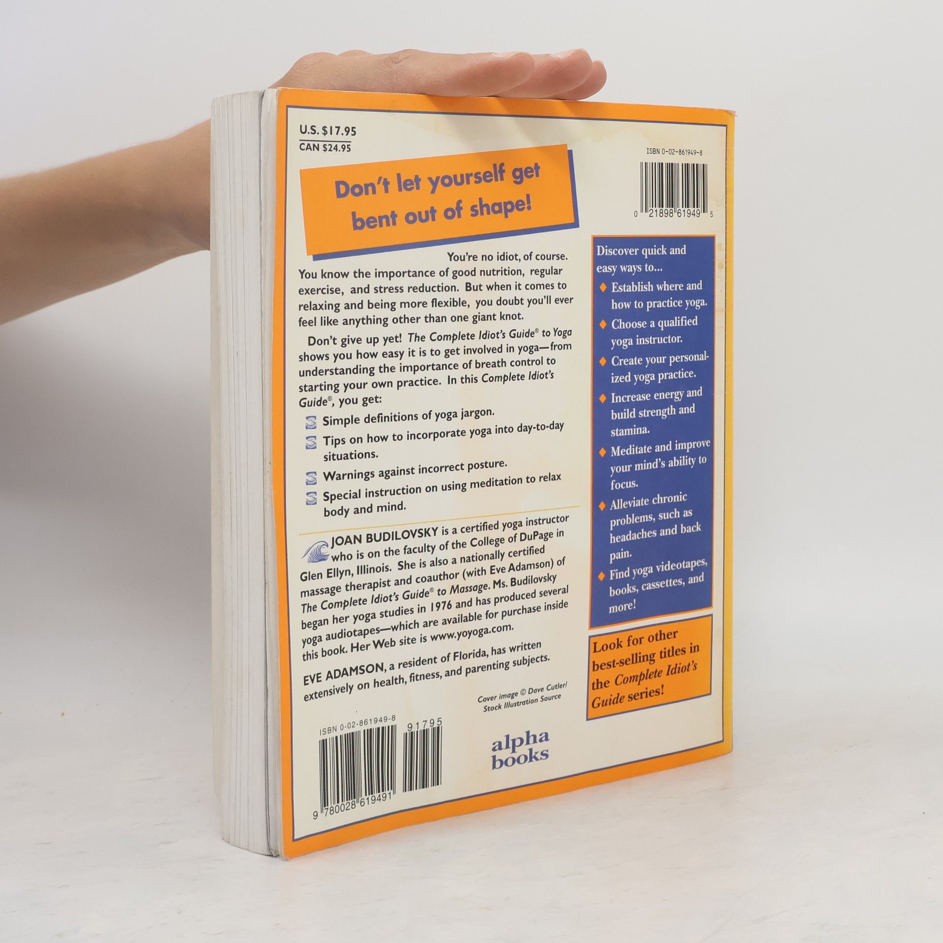 Joan Budilovsky The Complete Idiot's Guide to Yoga