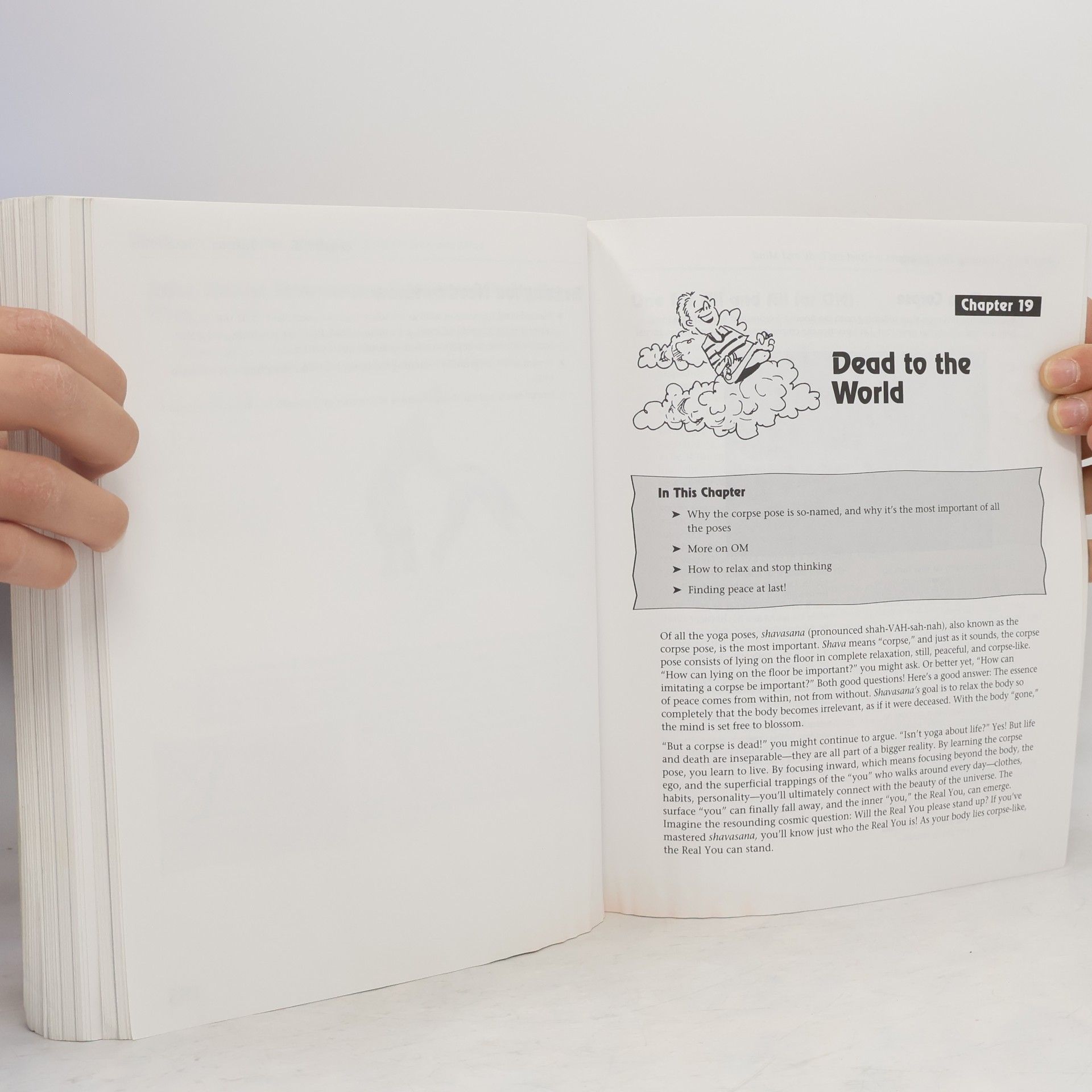 Joan Budilovsky The Complete Idiot's Guide to Yoga