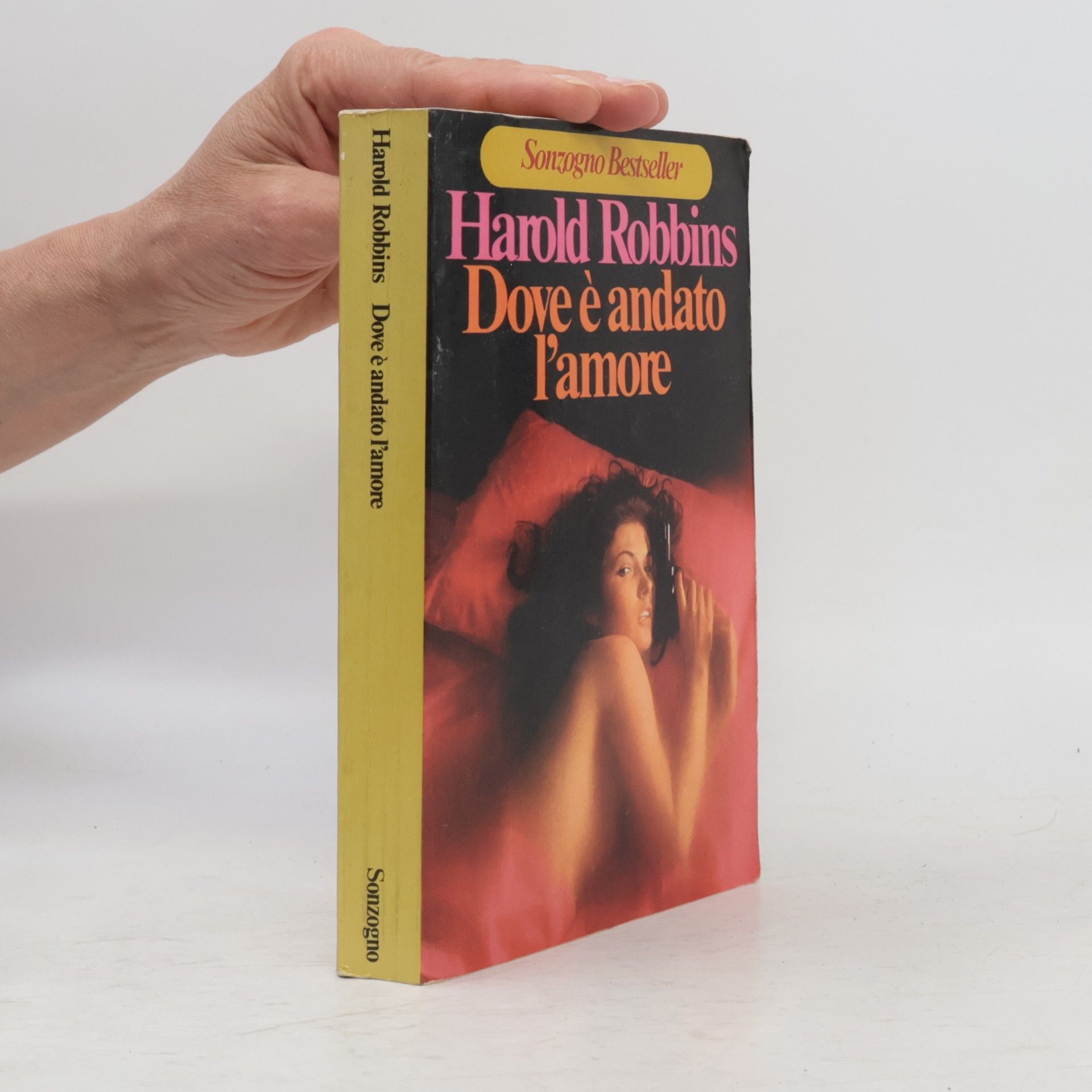 Harold Robbins Dove è andato l'amore
