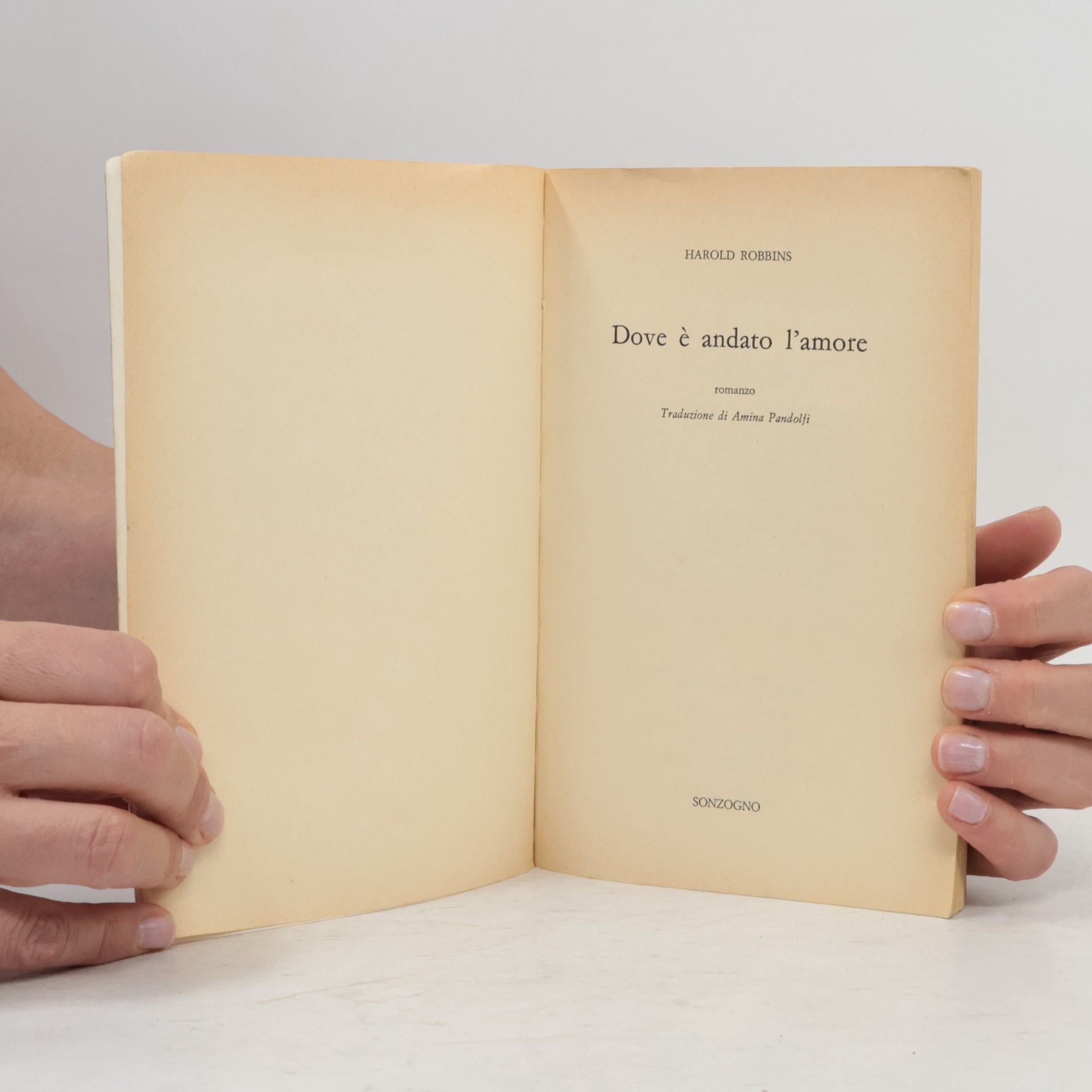 Harold Robbins Dove è andato l'amore