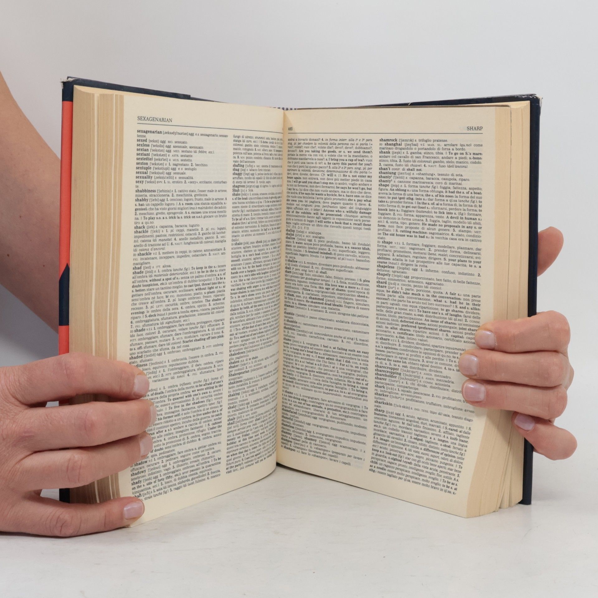 Ada Borrelli Dizionario fondamentale. Inglese-italiano, italiano-inglese