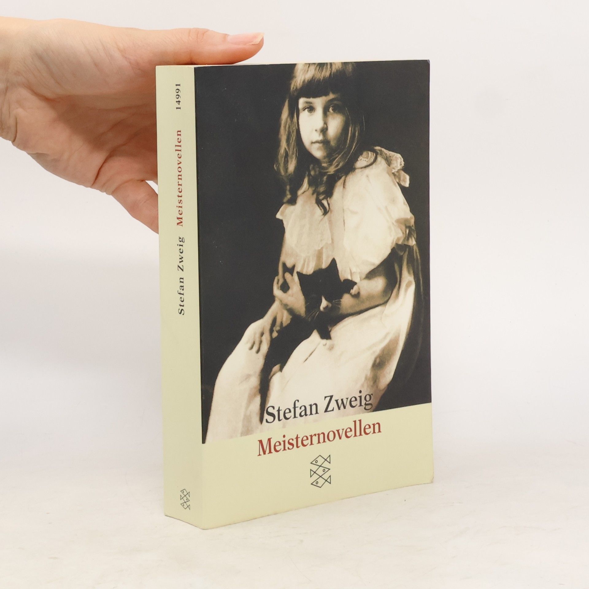 Stefan Zweig Meisternovellen