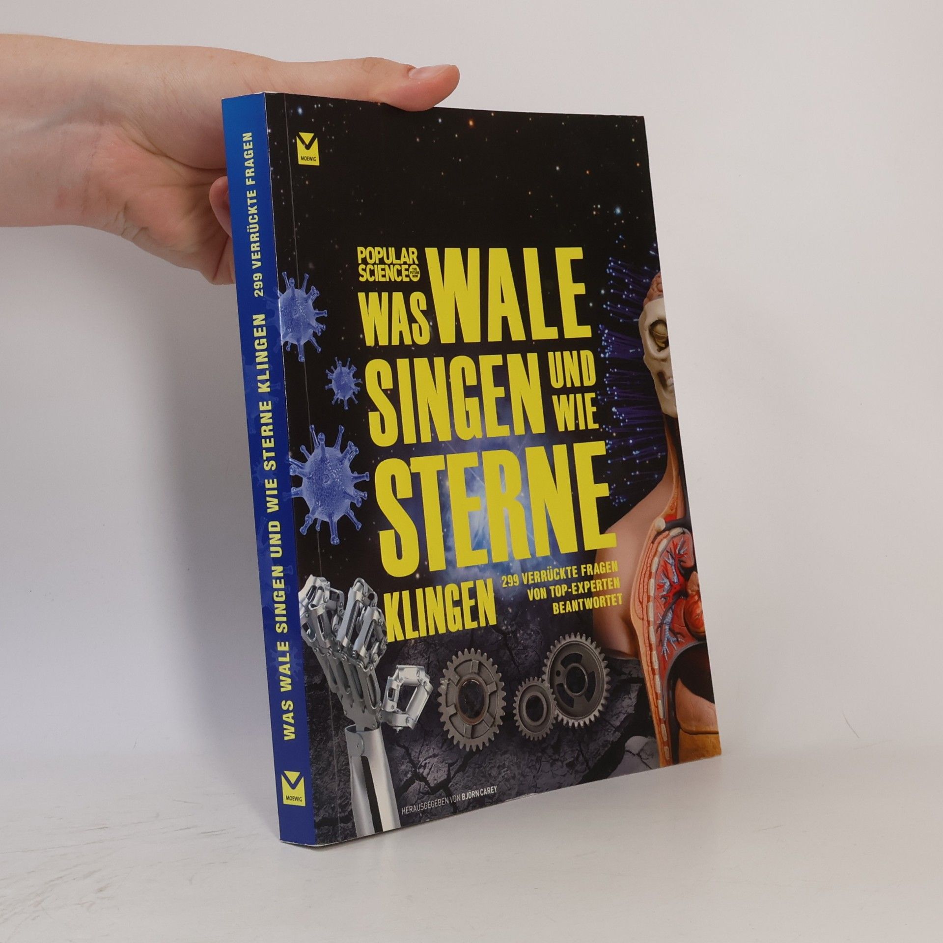 Was Wale singen und wie Sterne klingen
