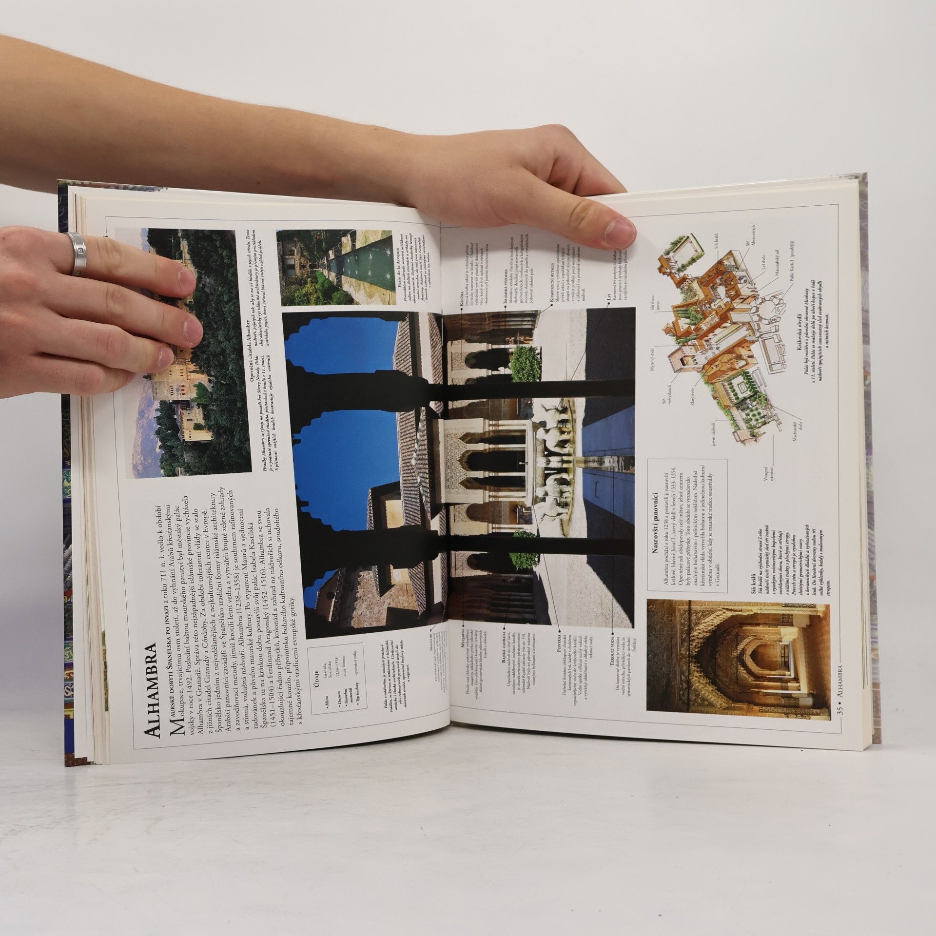 Neil Stevenson Architektura