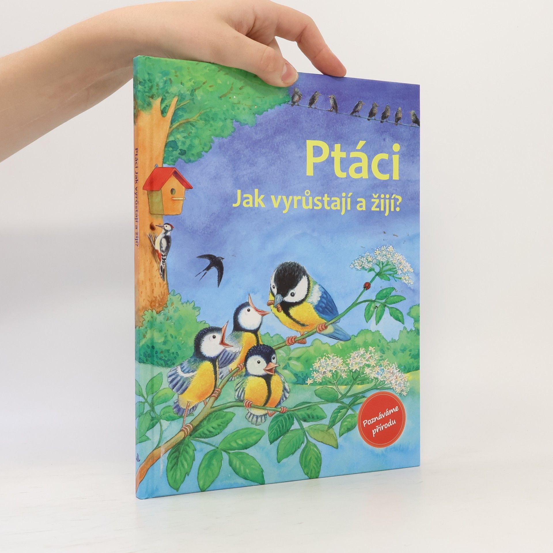 Friederun Reichenstetter Ptáci : Jak vyrůstají a žijí?