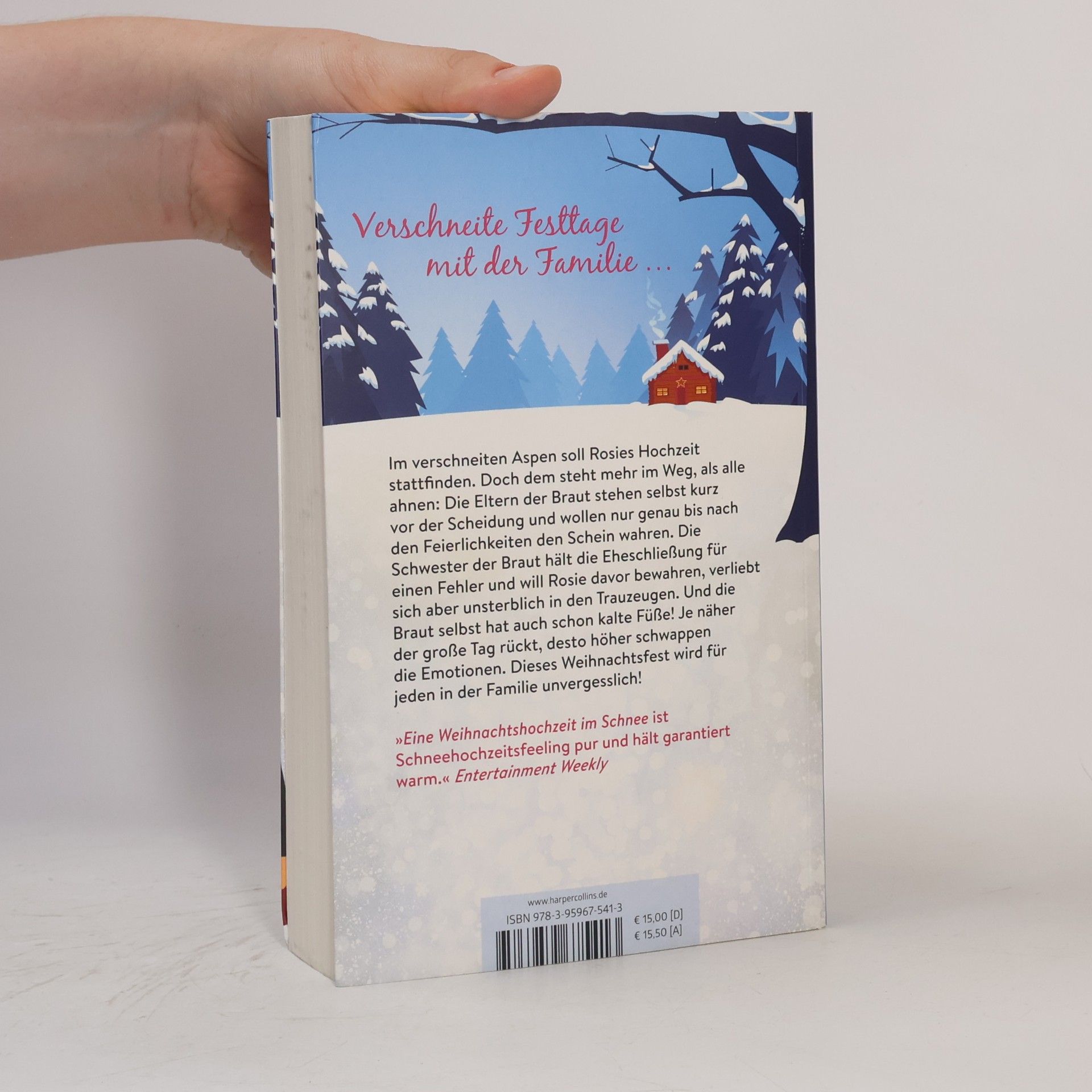 Sarah Morgan Eine Weihnachtshochzeit im Schnee