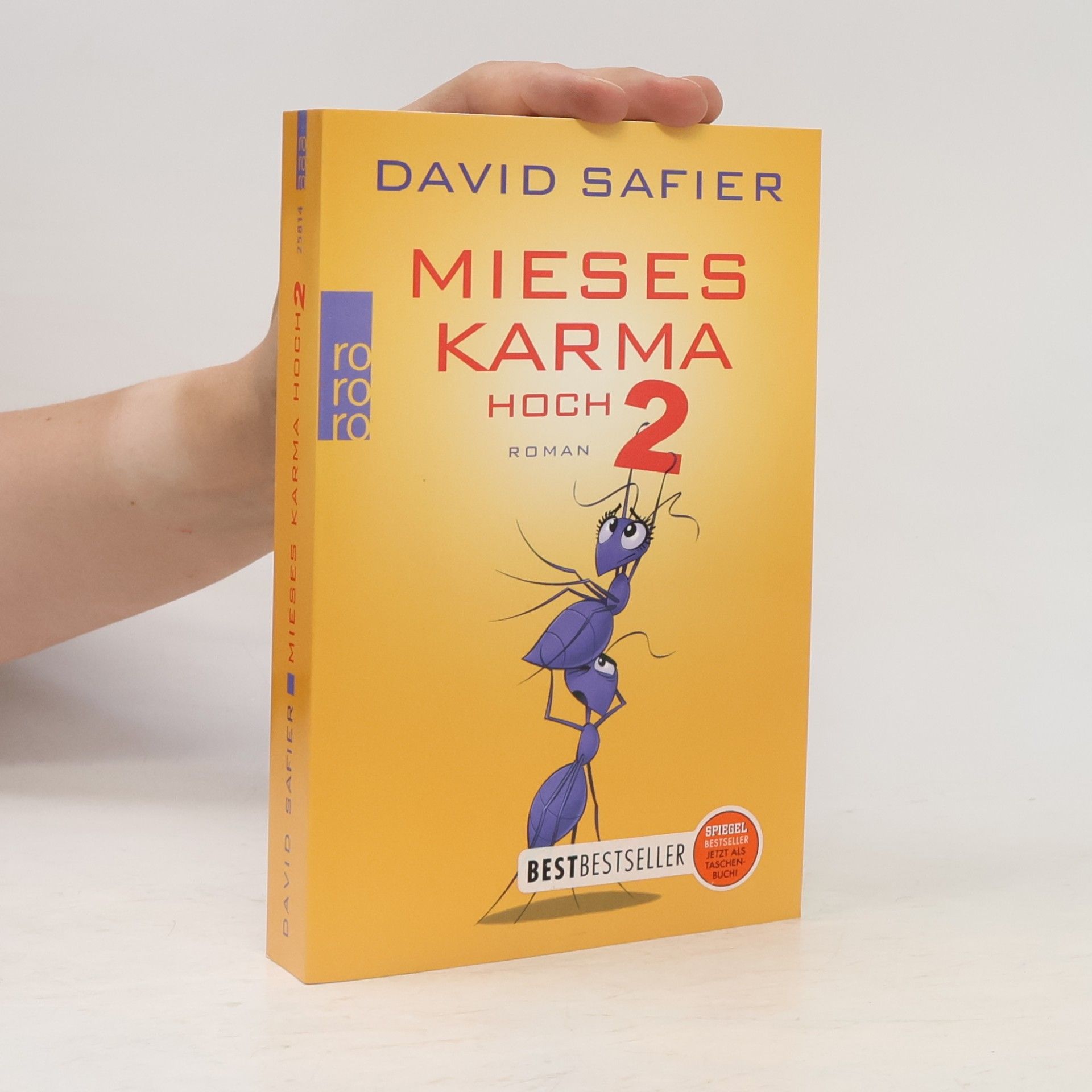 David Safier Mieses Karma hoch 2