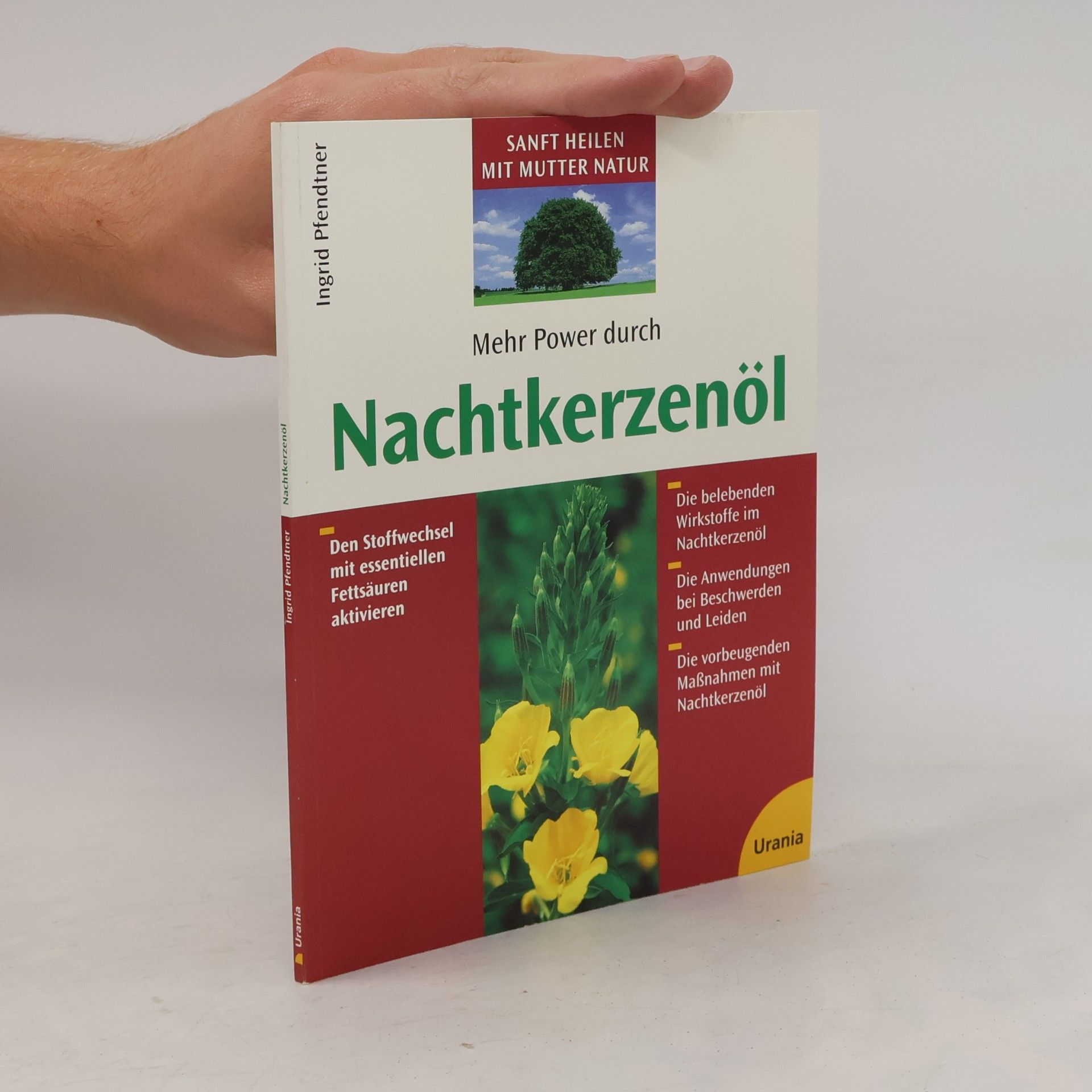 Ingrid Pfendtner Mehr Power durch Nachtkerzenöl