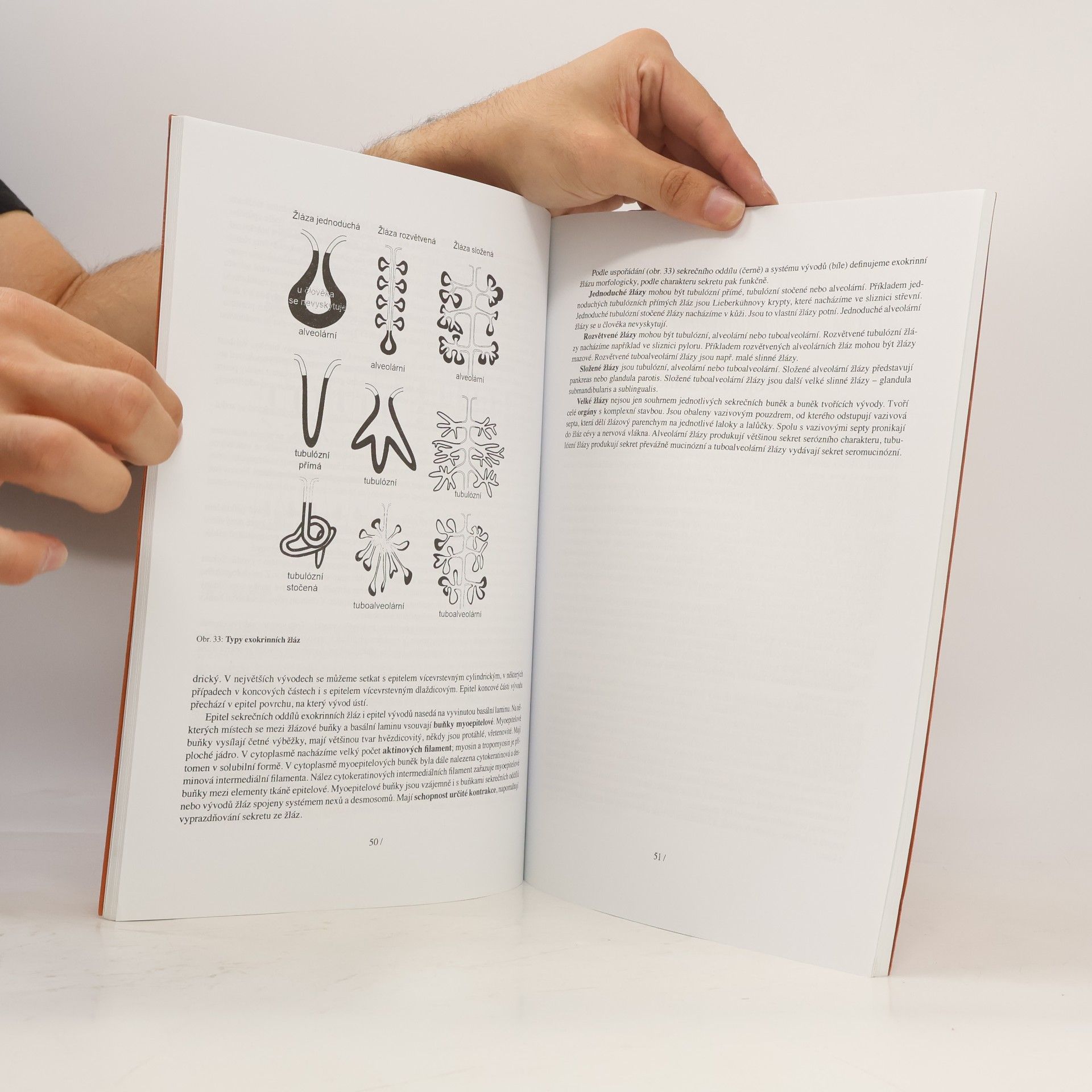 Václava Konrádová Lékařská histologie I.