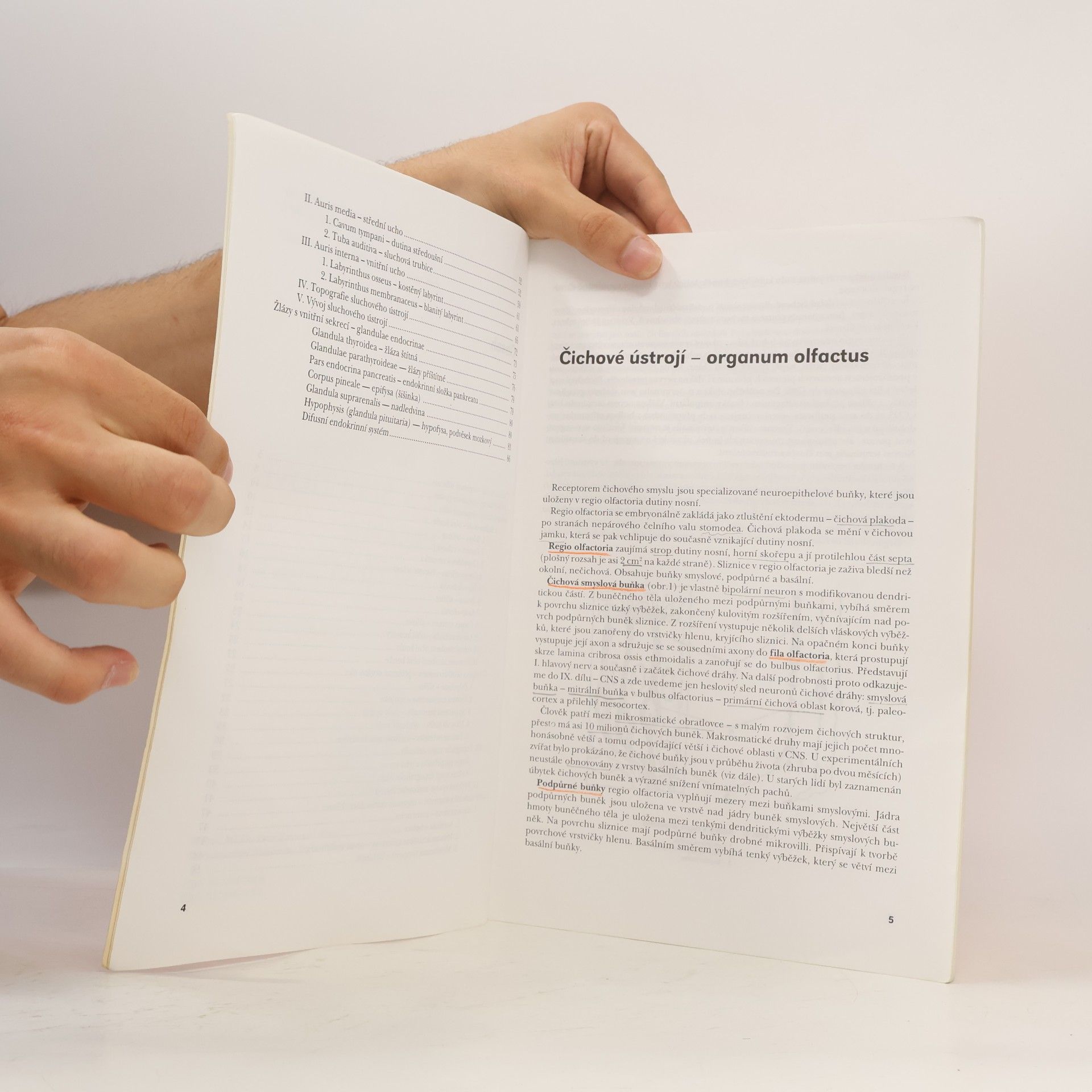 Pavel Petrovický Systematická, topografická a klinická anatomie X. Zrakové a sluchové orgány, orgány s vnitřní sekrecí