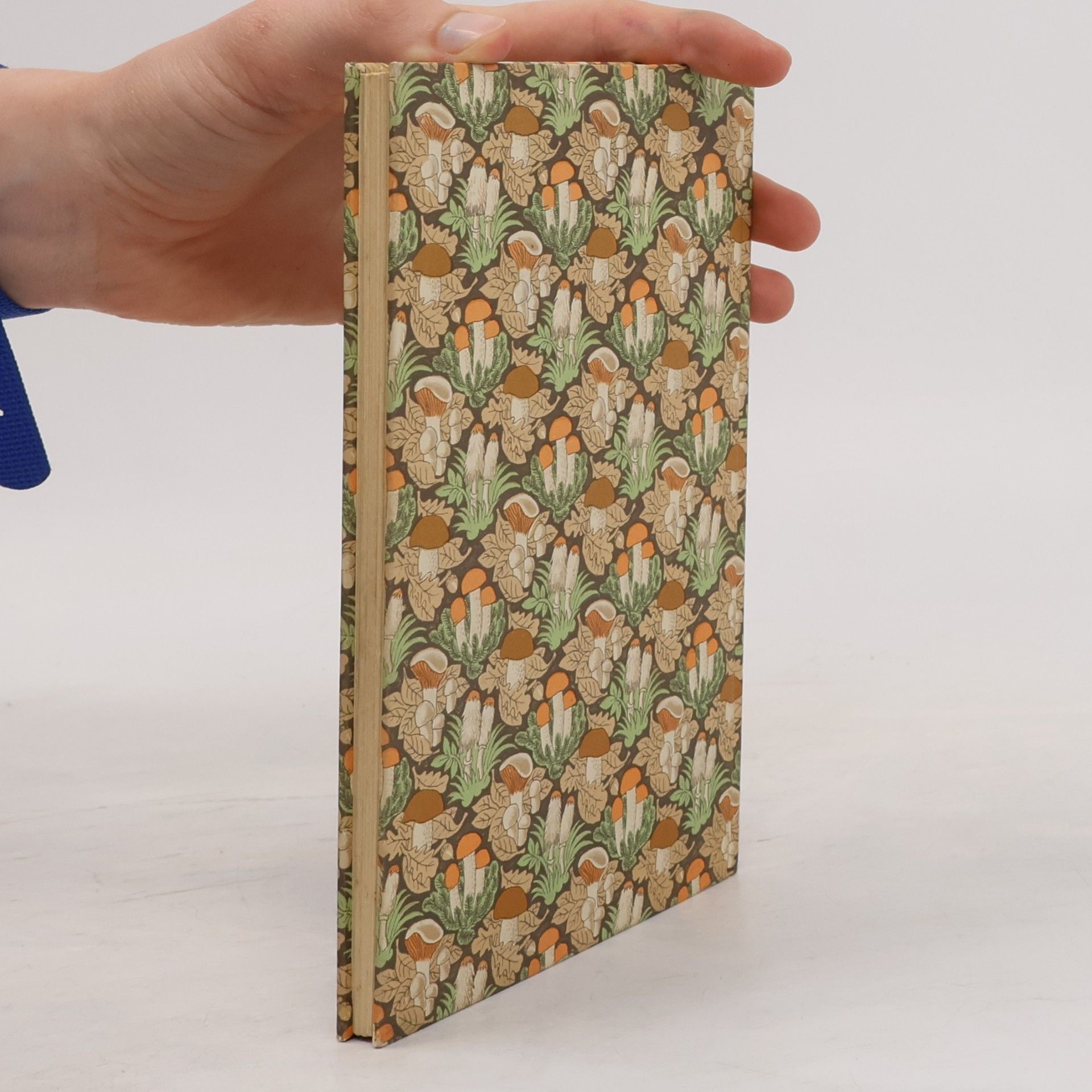 Willi Harwerth Das kleine Pilzbuch
