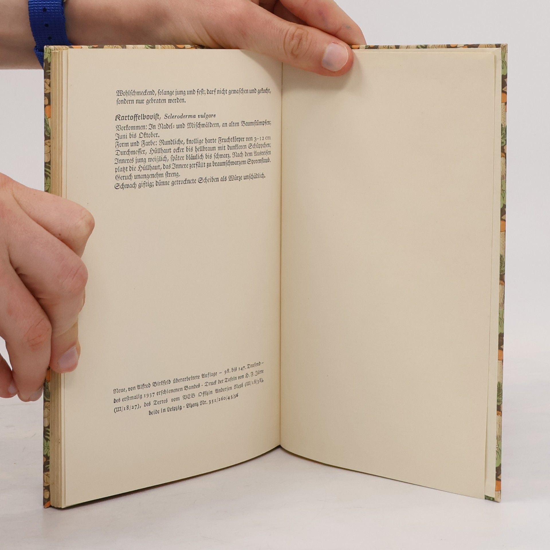 Willi Harwerth Das kleine Pilzbuch