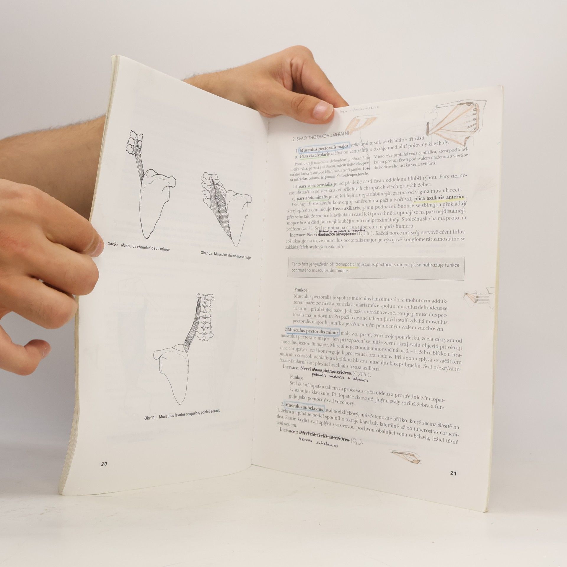 Milan Doskočil Anatomie II. - Pohybový aparát končetin