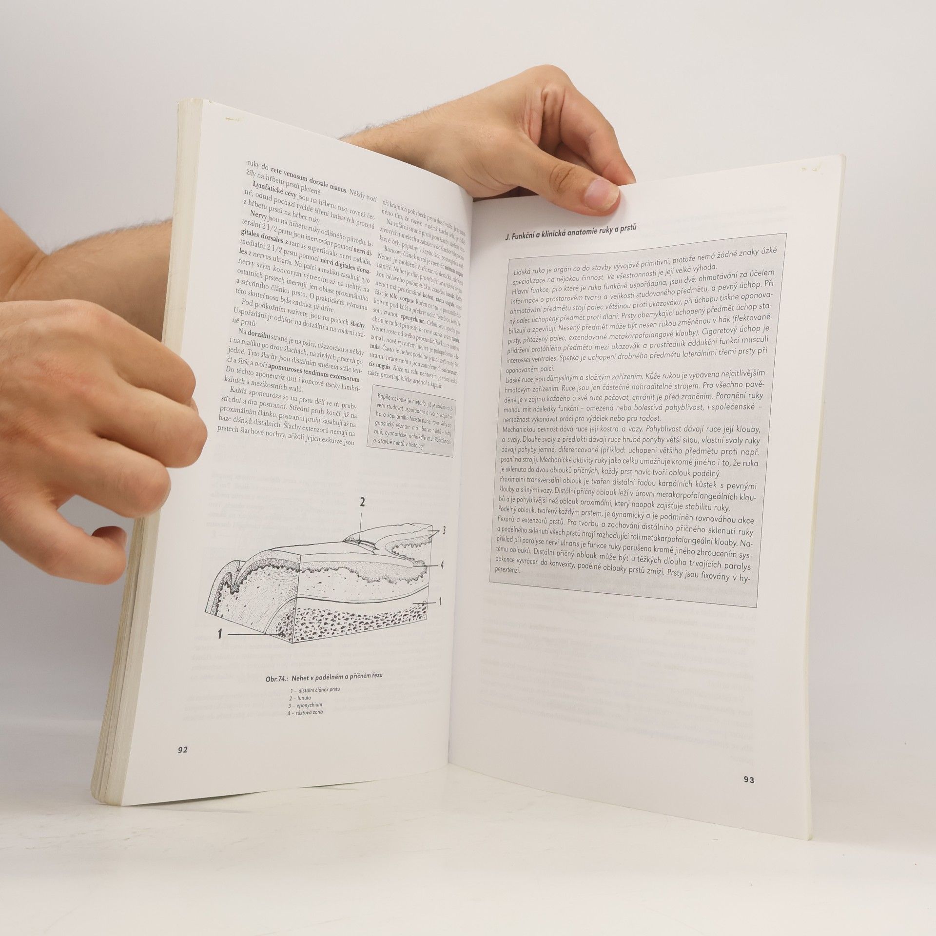 Milan Doskočil Anatomie II. - Pohybový aparát končetin