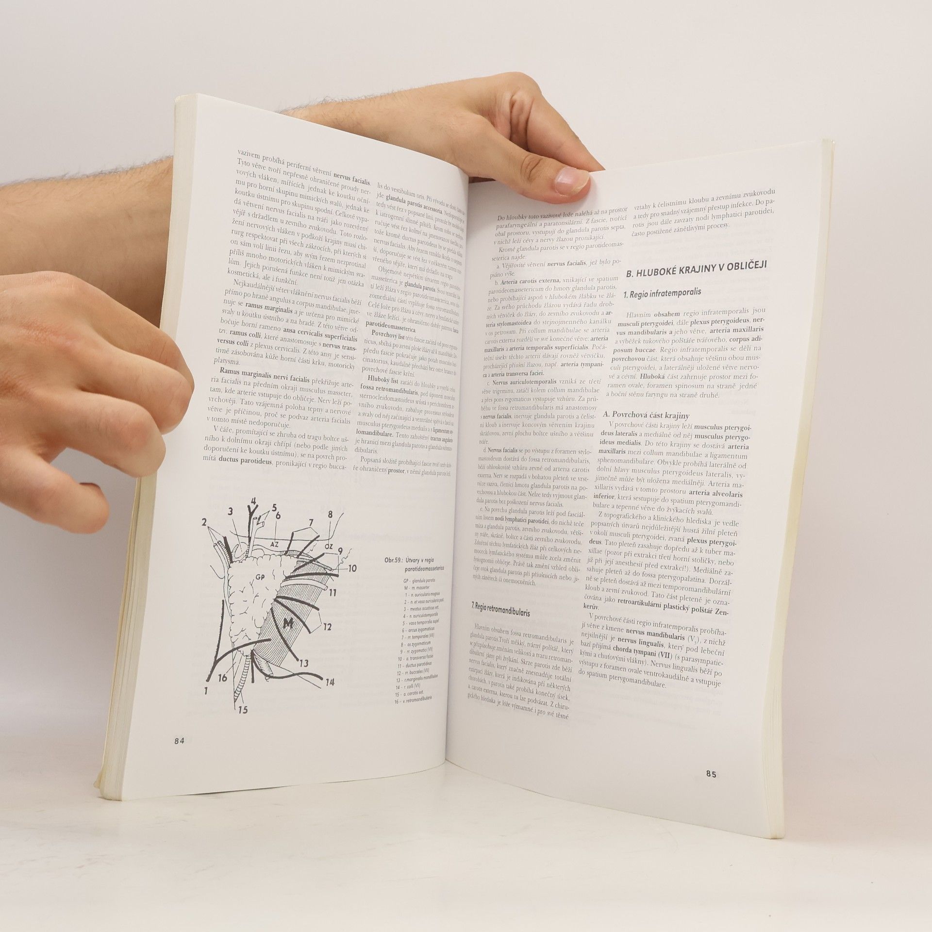 Olga Mrázková Systematická, topografická a klinická anatomie. III. Pohybový aparát hlavy a trupu