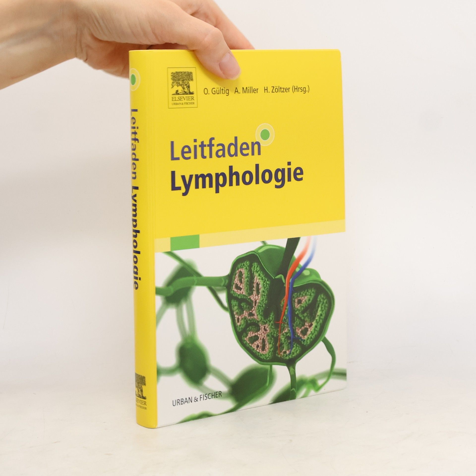 H. Zöltzer Leitfaden Lymphologie