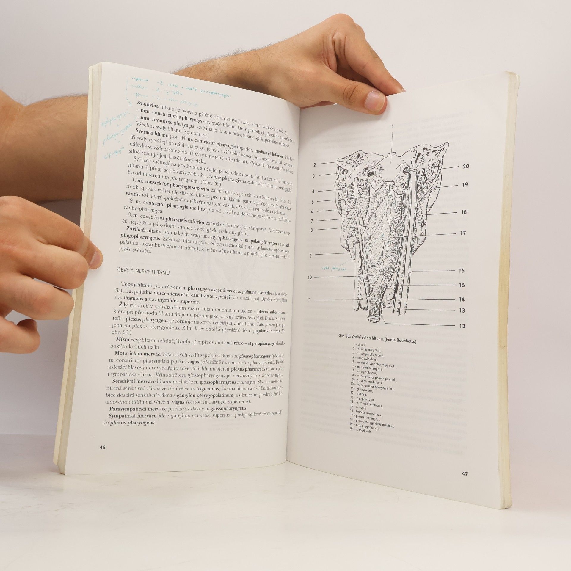 Pavel Petrovický Systematická, topografická a klinická anatomie IV. Zažívací ústrojí