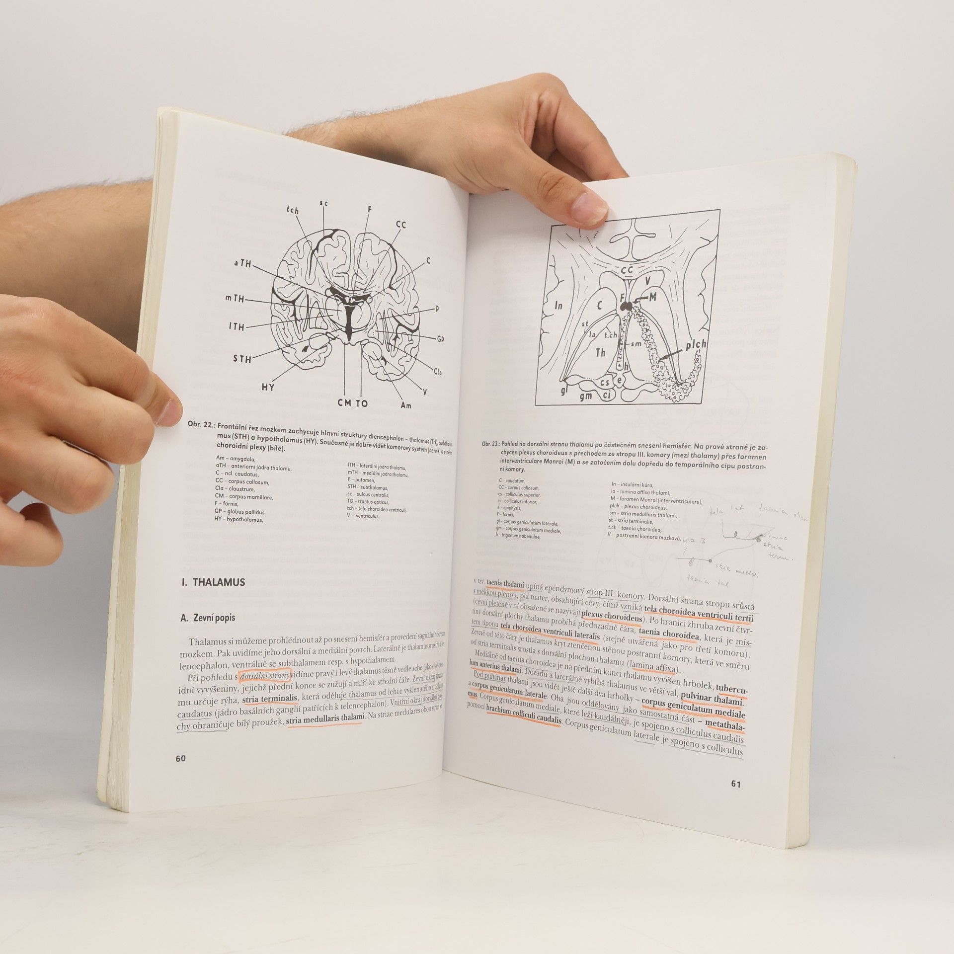 Pavel Petrovický Anatomie IX. - Centrální nervový systém